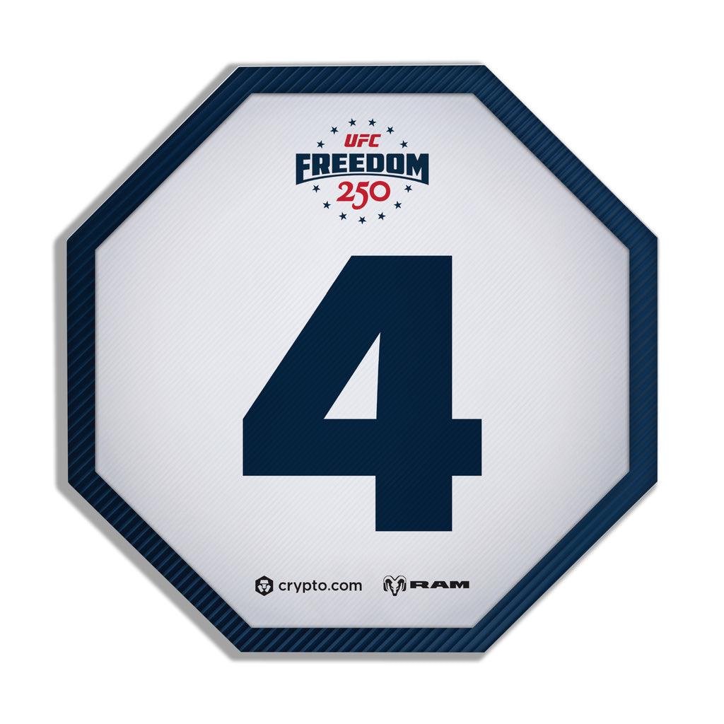 UFC Freedom 250: Topuria vs Gaethje Event Used Round Card Four