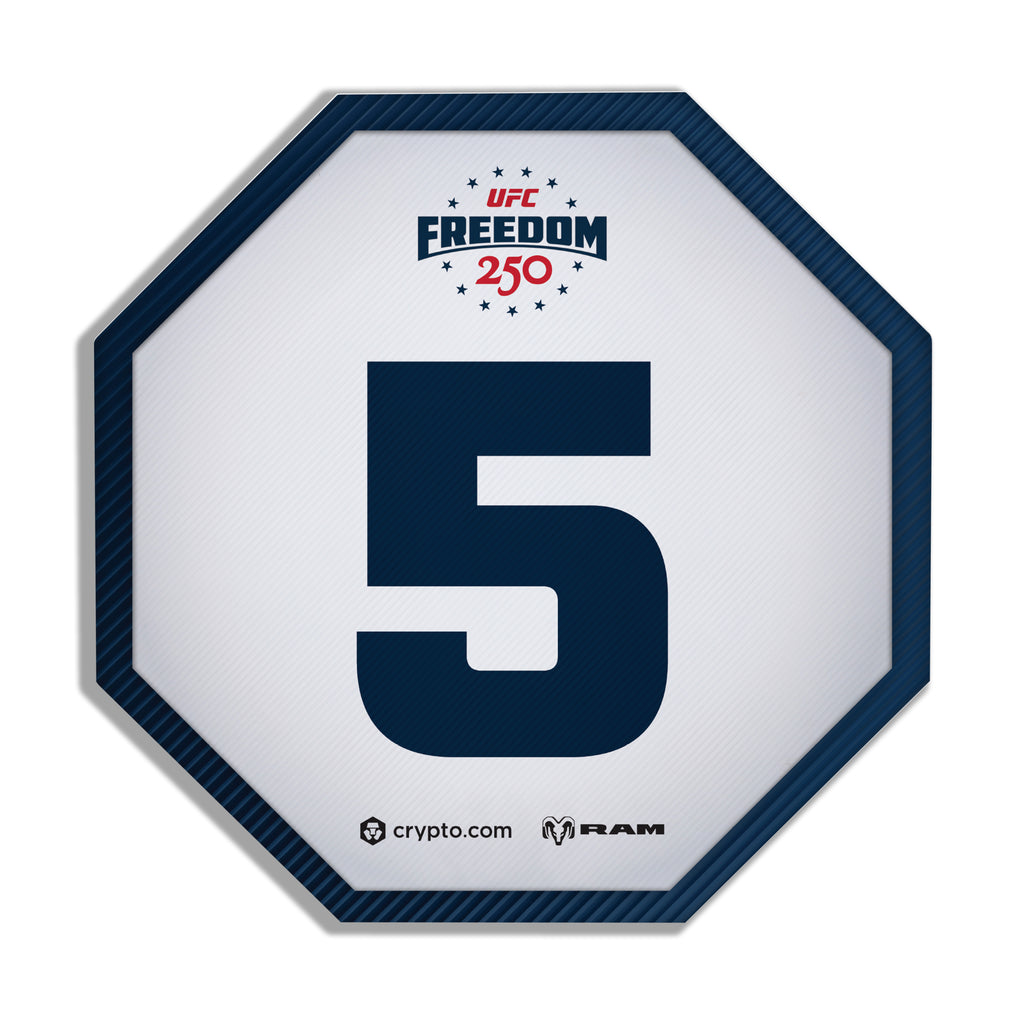 UFC Freedom 250: Topuria vs Gaethje Event Used Round Card Five