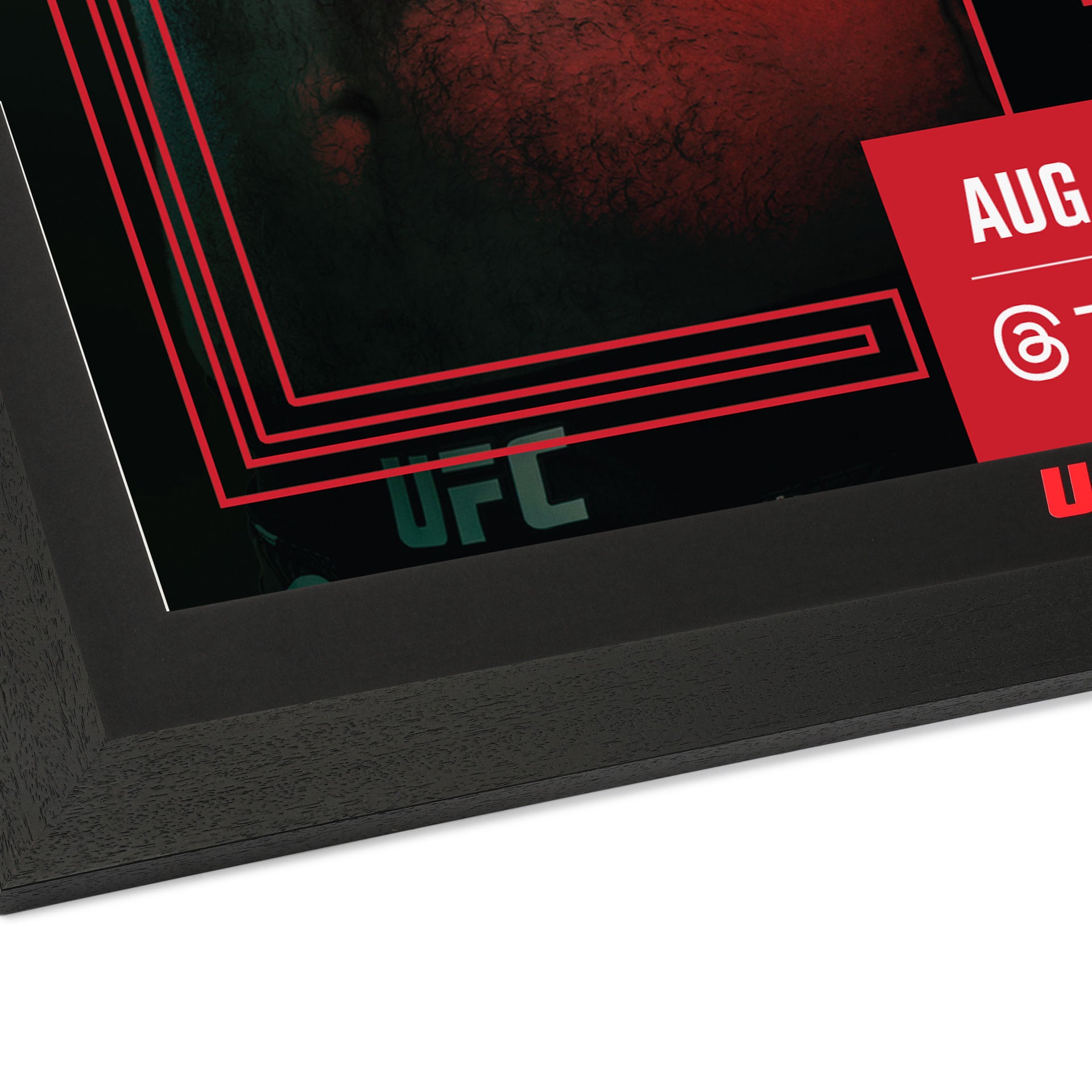 UFC Fight Night: Dolidze vs Hernandez Autographed Event Poster