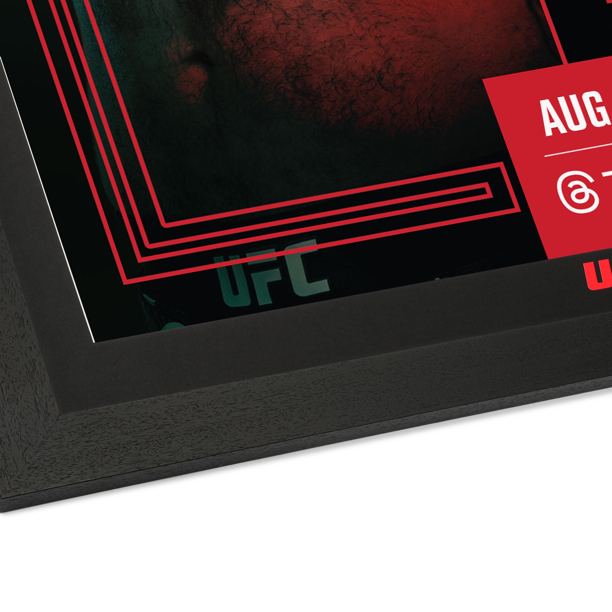 UFC Fight Night: Dolidze vs Hernandez Autographed Event Poster