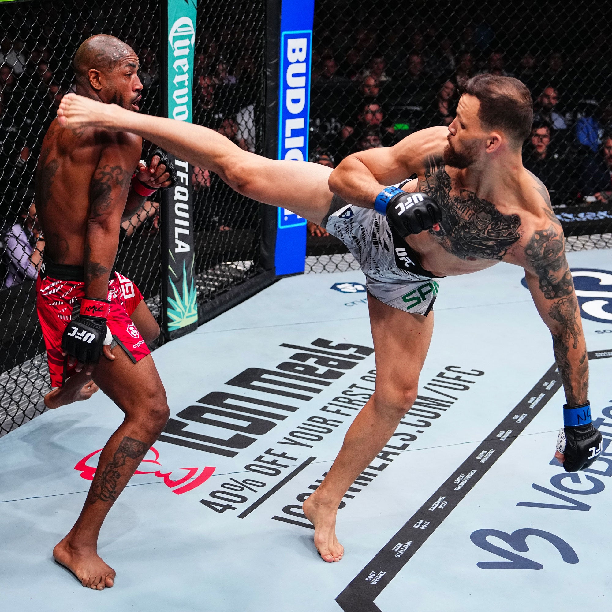 UFC Fight Night: Oliveira vs Fiziev Name on Canvas
