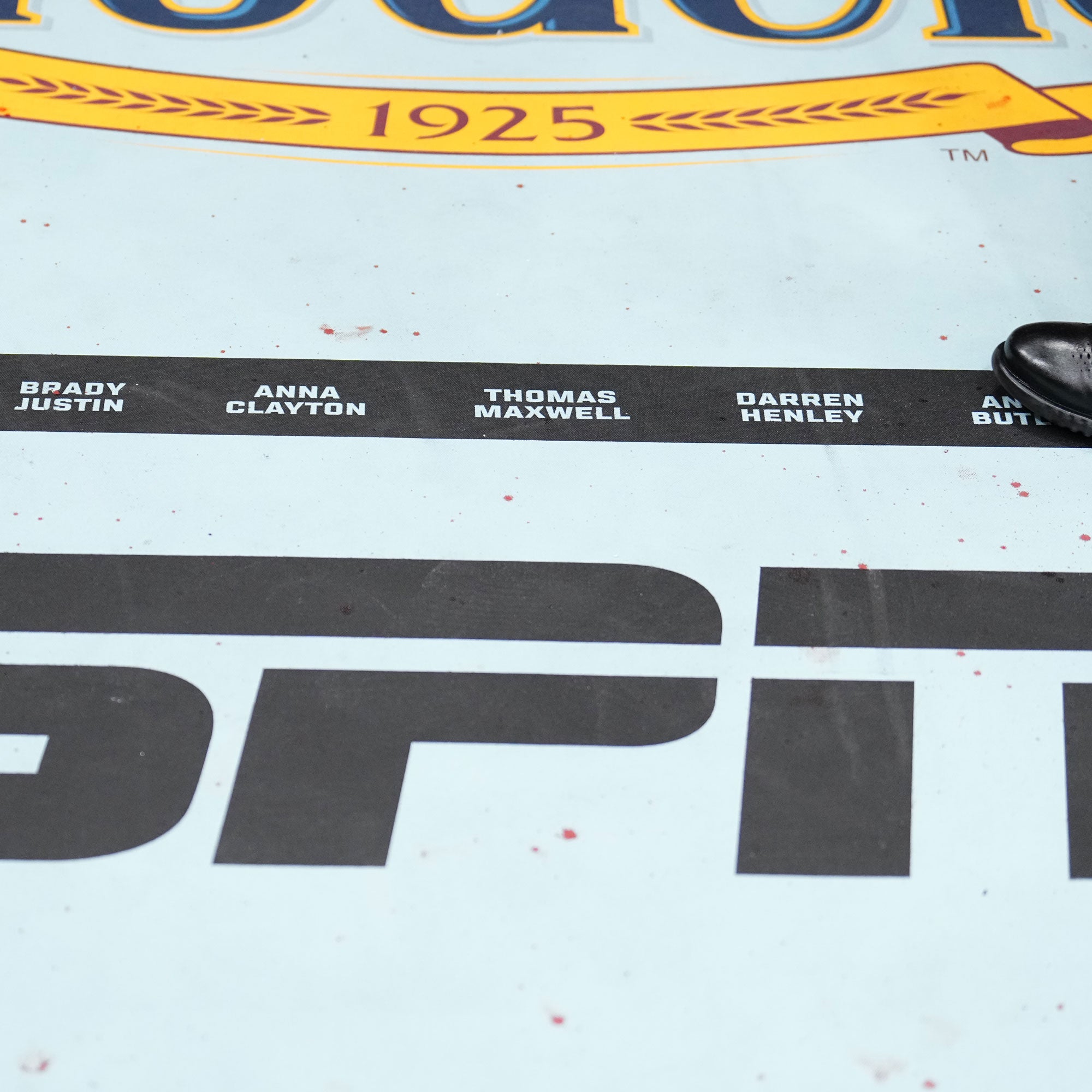 UFC Fight Night: Oliveira vs Fiziev Name on Canvas