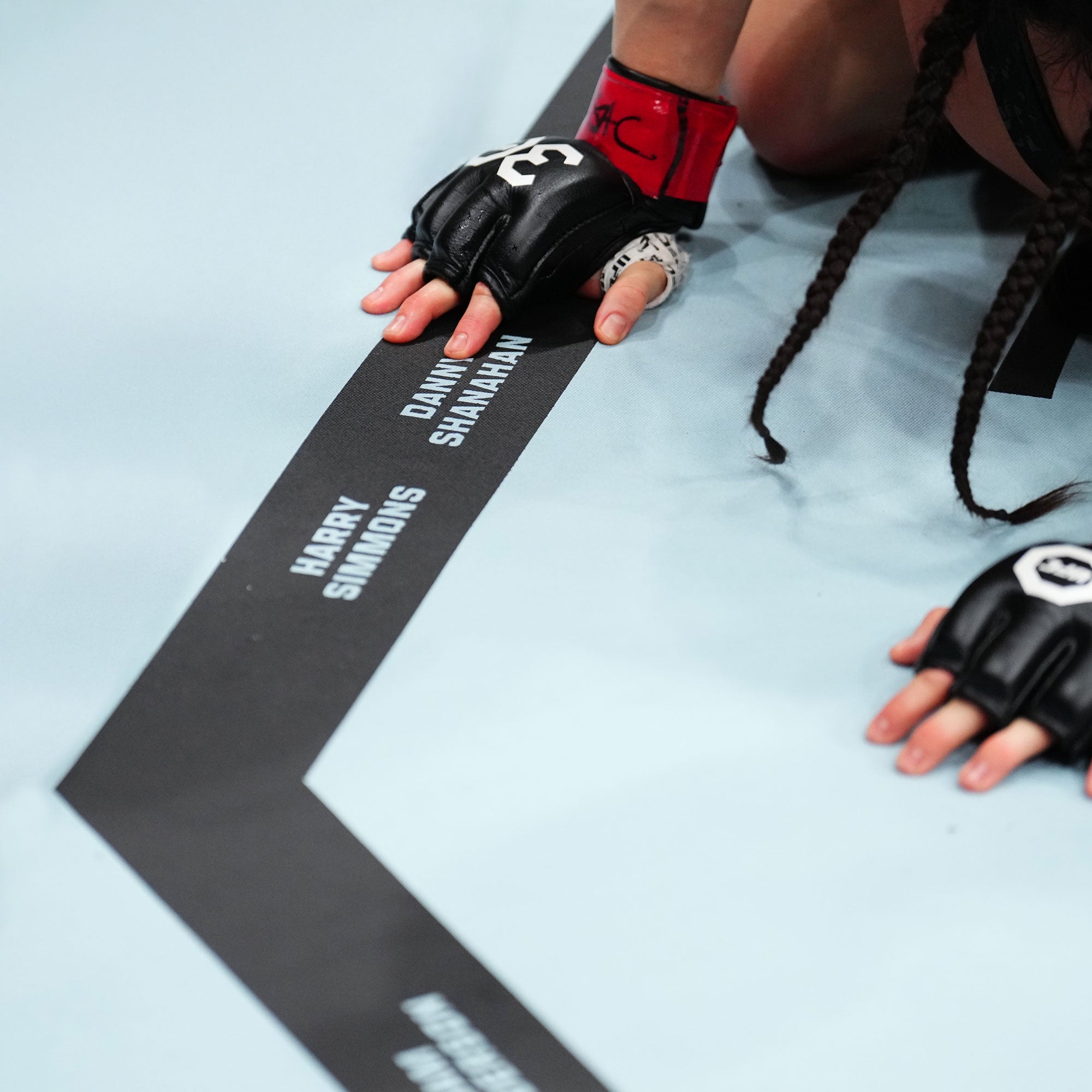 UFC Fight Night: Oliveira vs Fiziev Name on Canvas