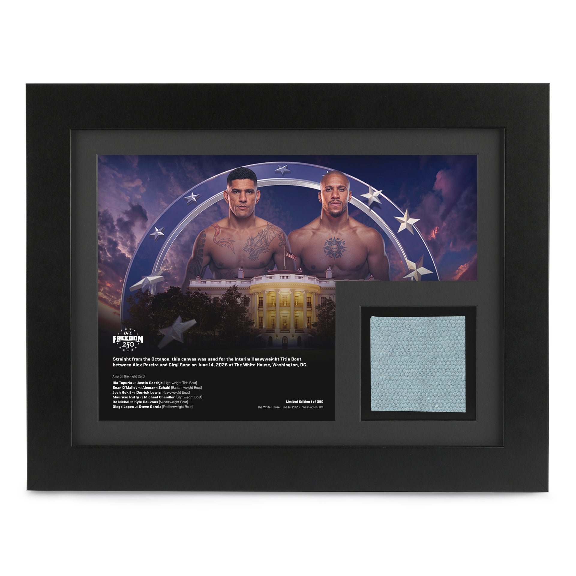 UFC Freedom 250: Pereira vs Gane Canvas & Photo