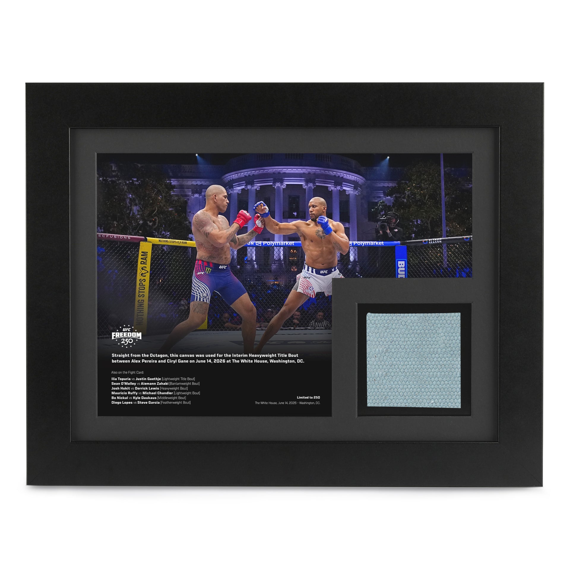 UFC Freedom 250: Pereira vs Gane Canvas & Photo