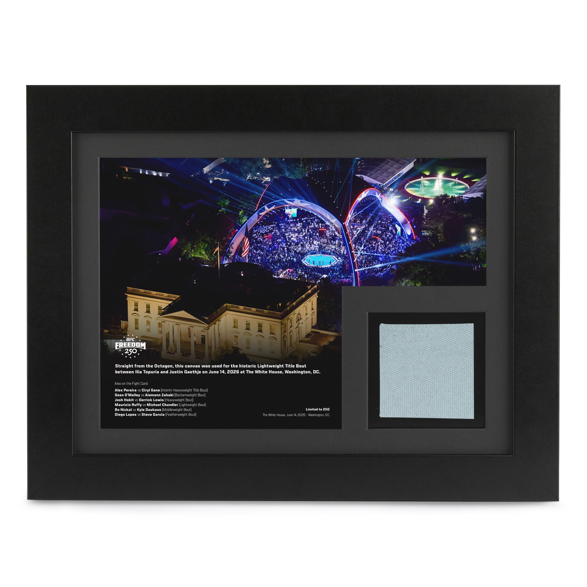 UFC Freedom 250 Canvas & Photo