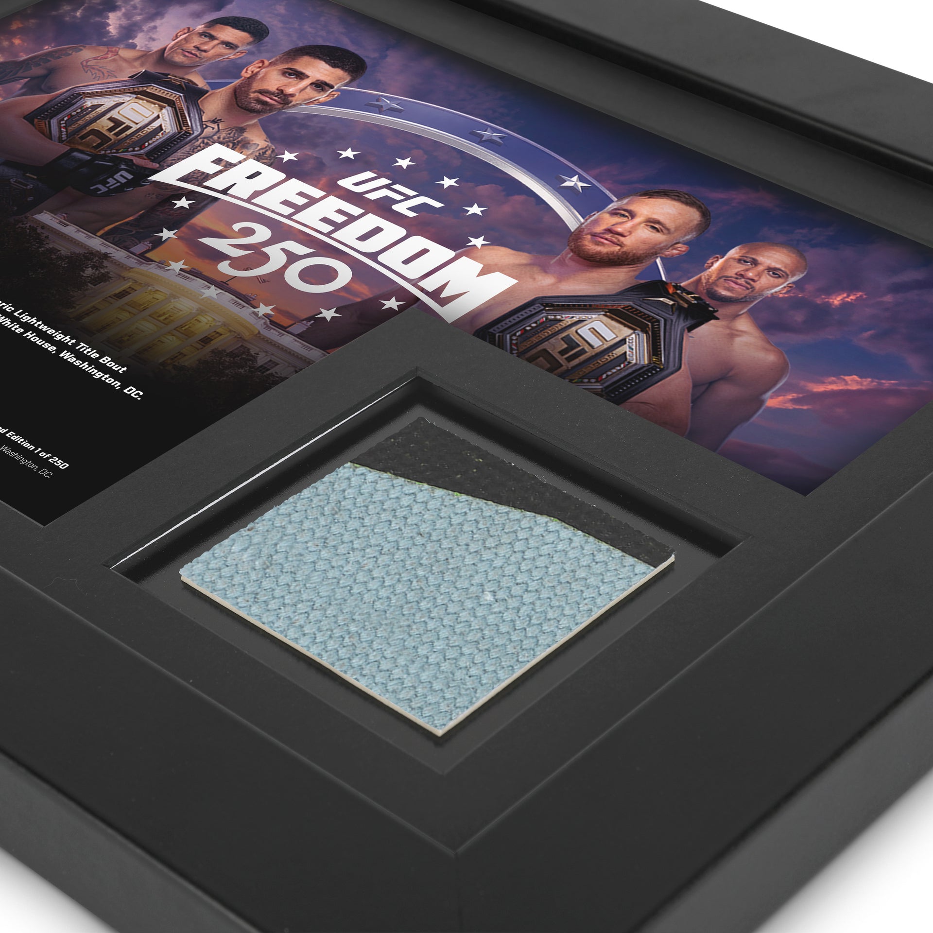 UFC Freedom 250 Canvas & Photo