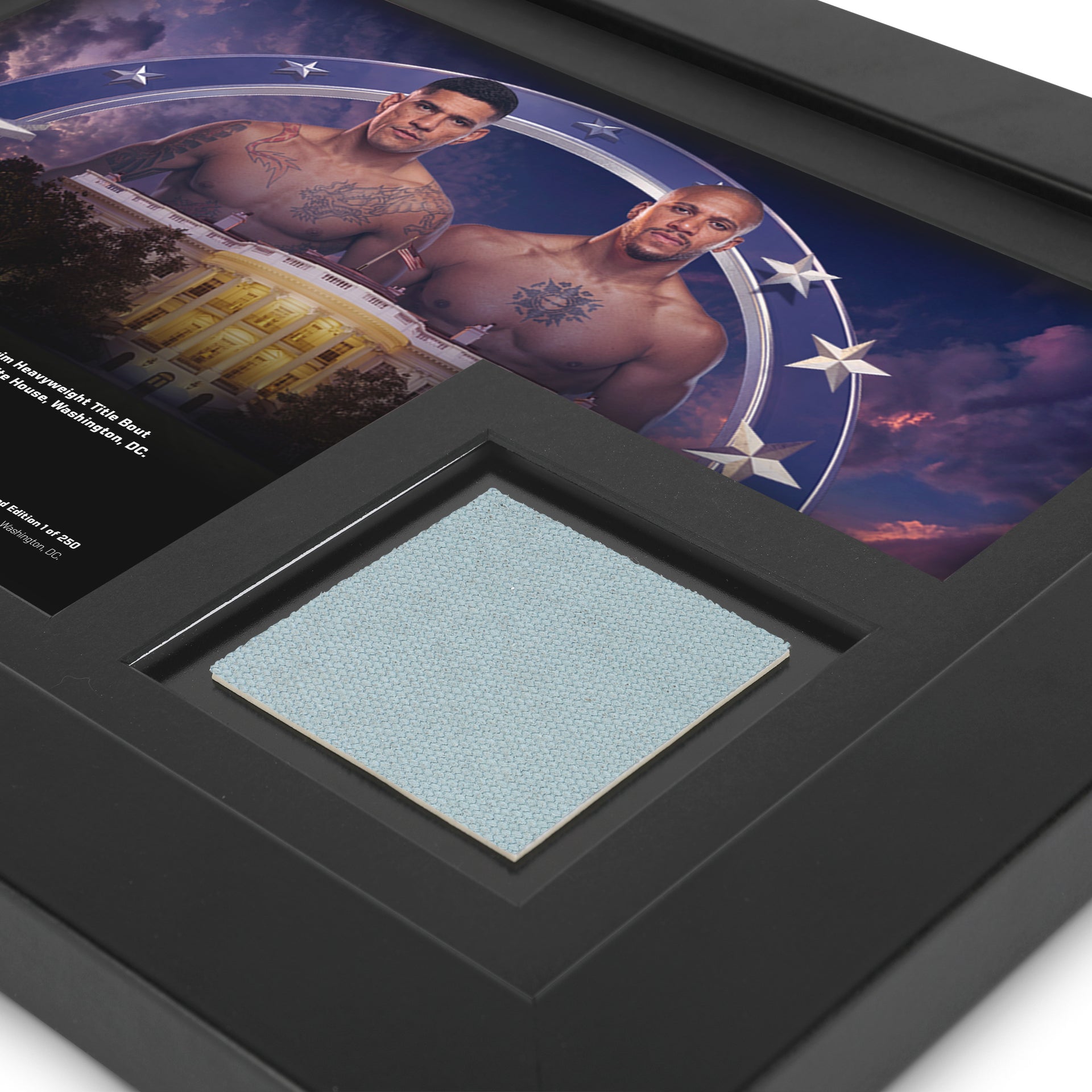 UFC Freedom 250: Pereira vs Gane Canvas & Photo