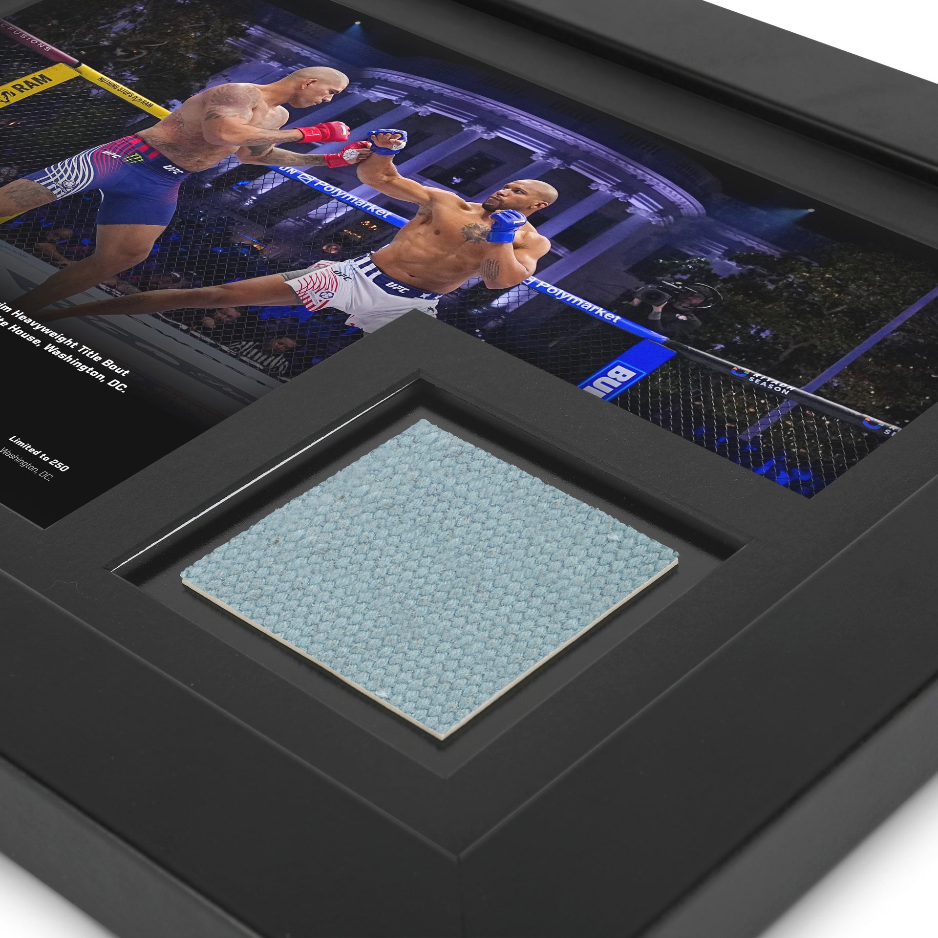 UFC Freedom 250: Pereira vs Gane Canvas & Photo