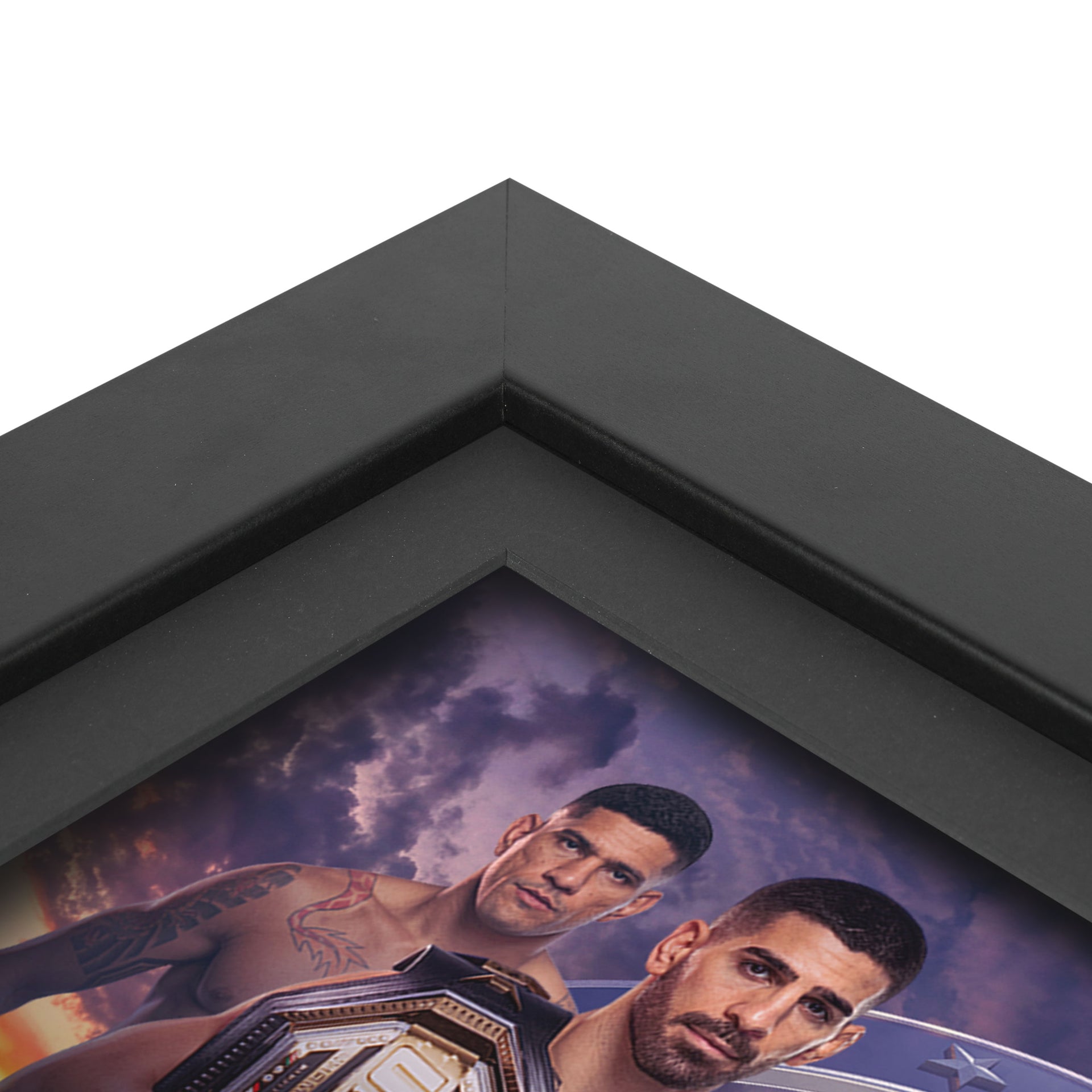 UFC Freedom 250 Canvas & Photo