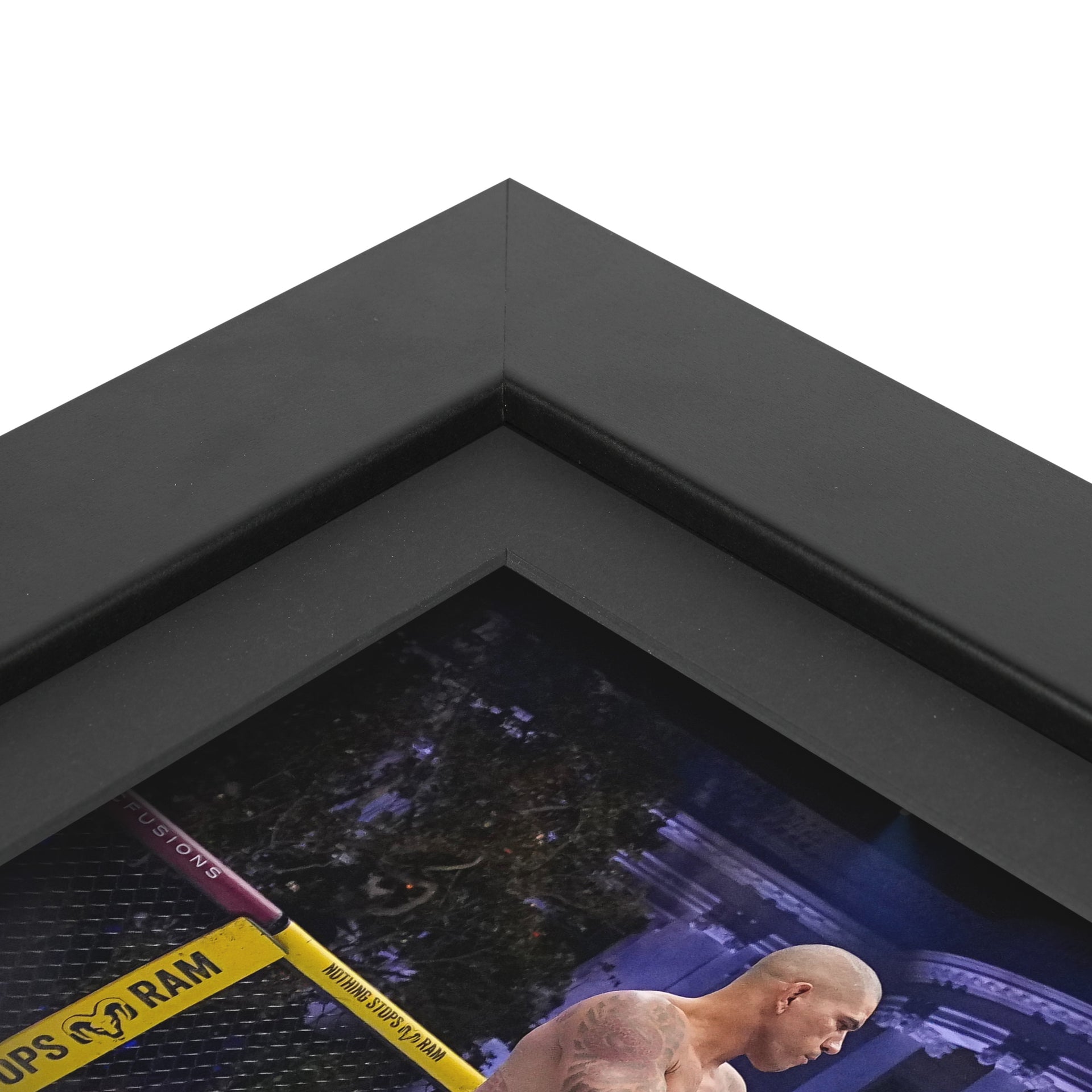 UFC Freedom 250: Pereira vs Gane Canvas & Photo