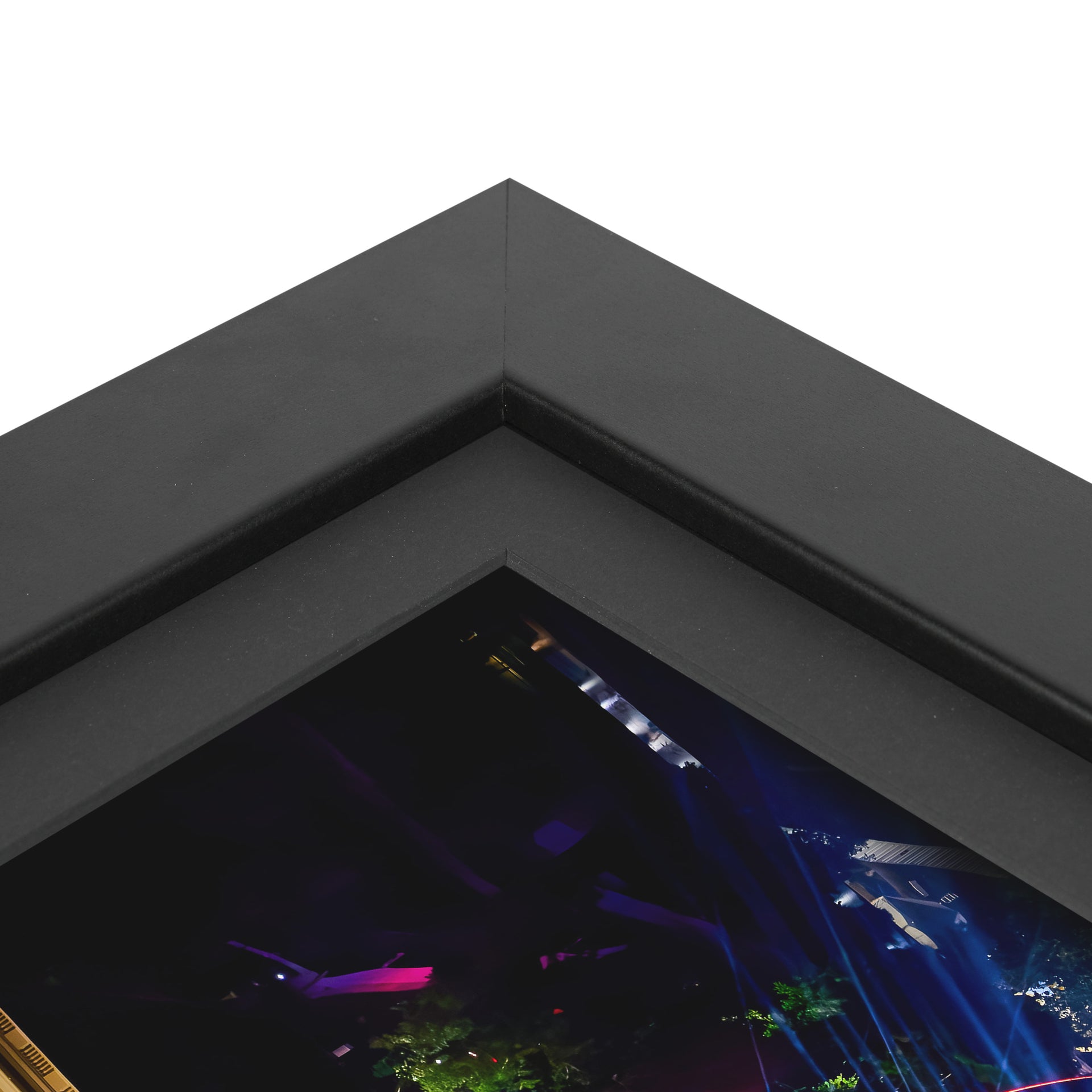 UFC Freedom 250 Canvas & Photo