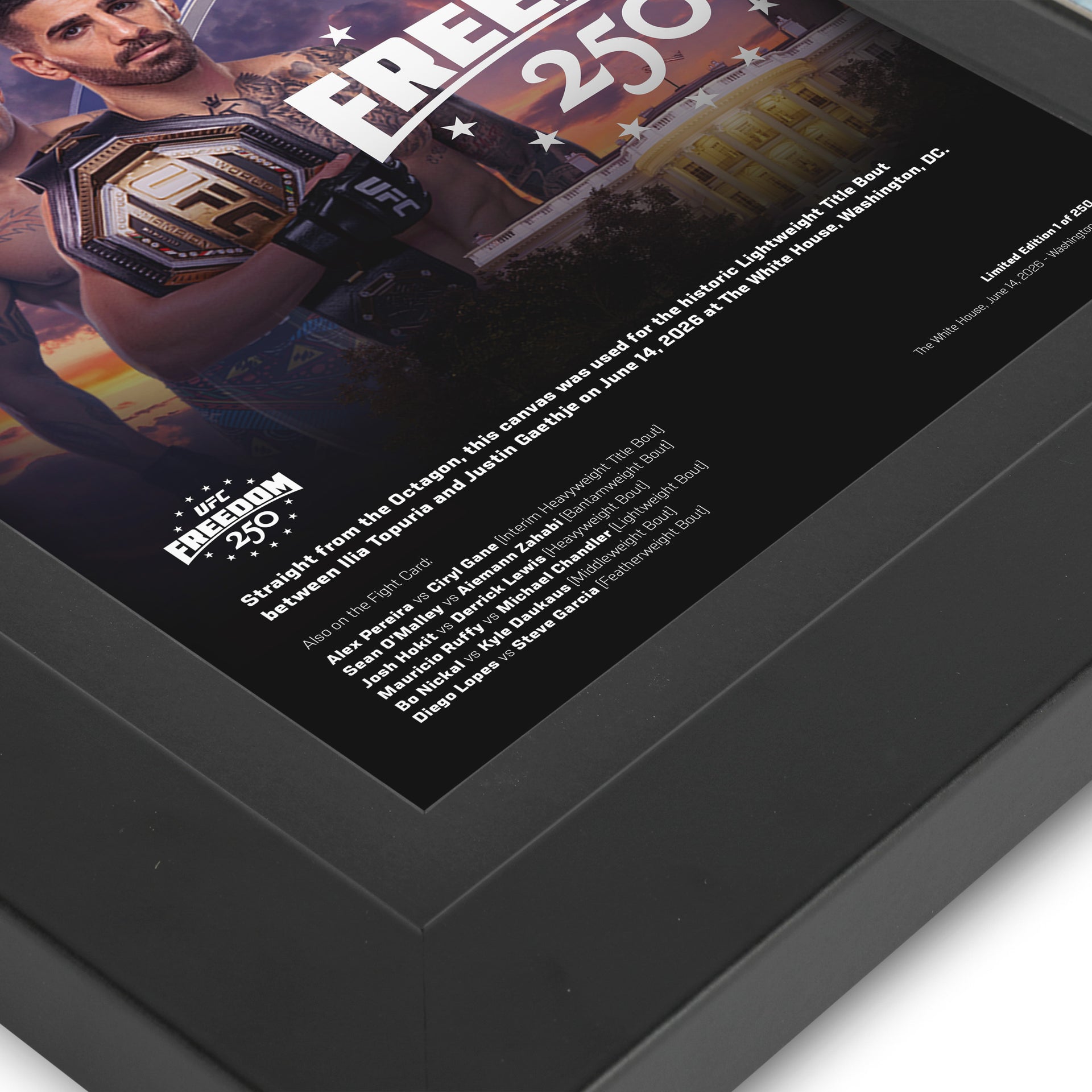 UFC Freedom 250 Canvas & Photo