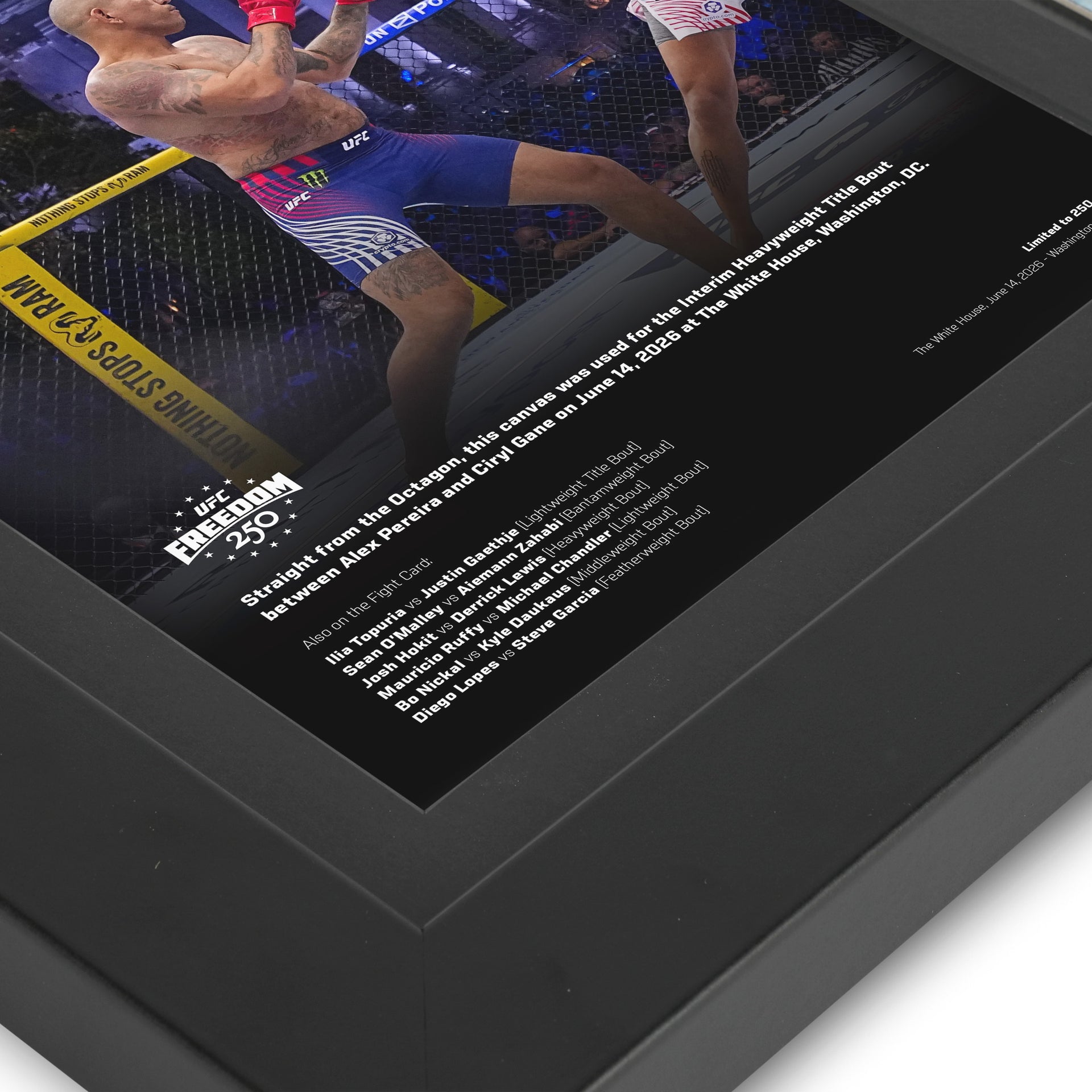 UFC Freedom 250: Pereira vs Gane Canvas & Photo