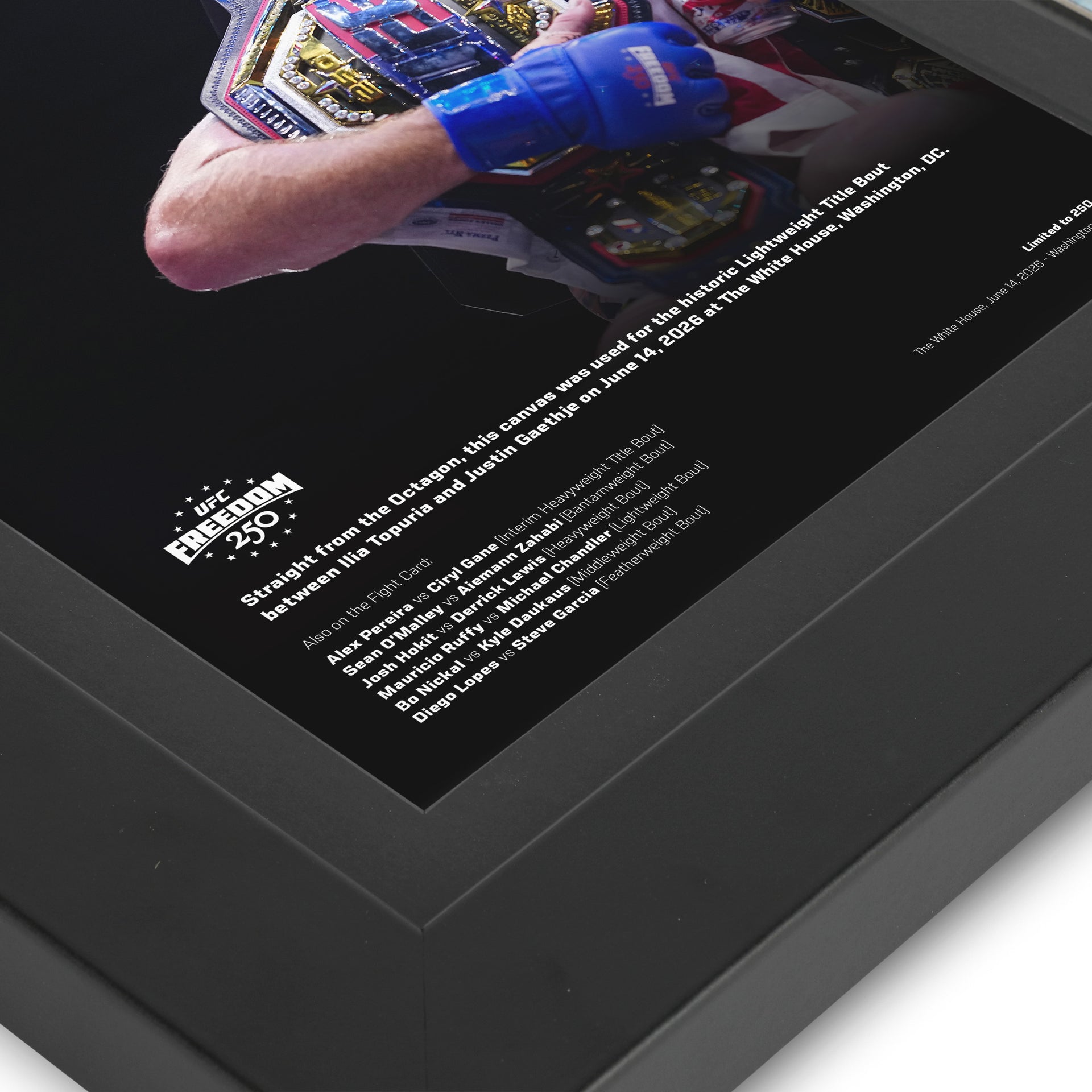 UFC Freedom 250: Topuria vs Gaethje Canvas & Photo