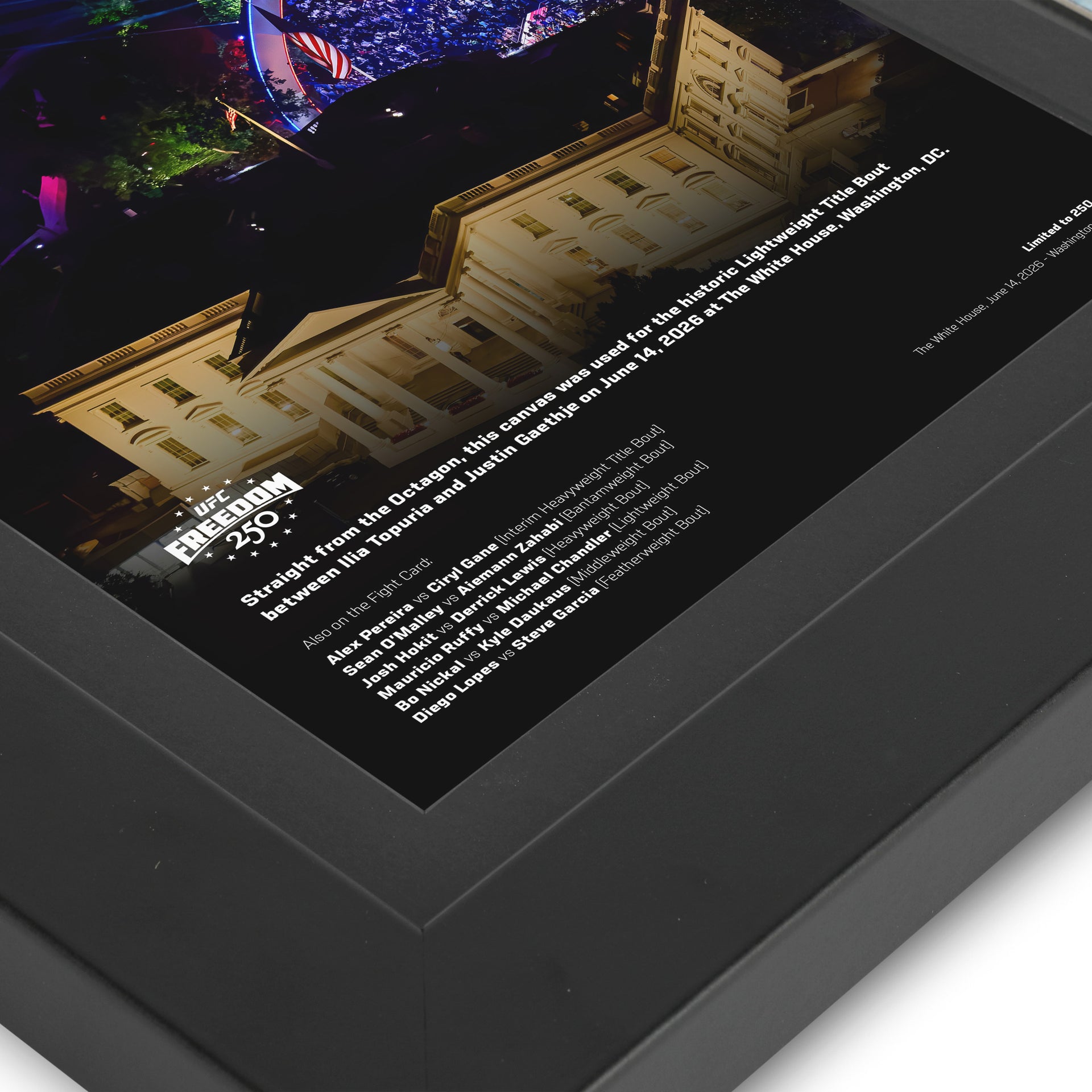 UFC Freedom 250 Canvas & Photo