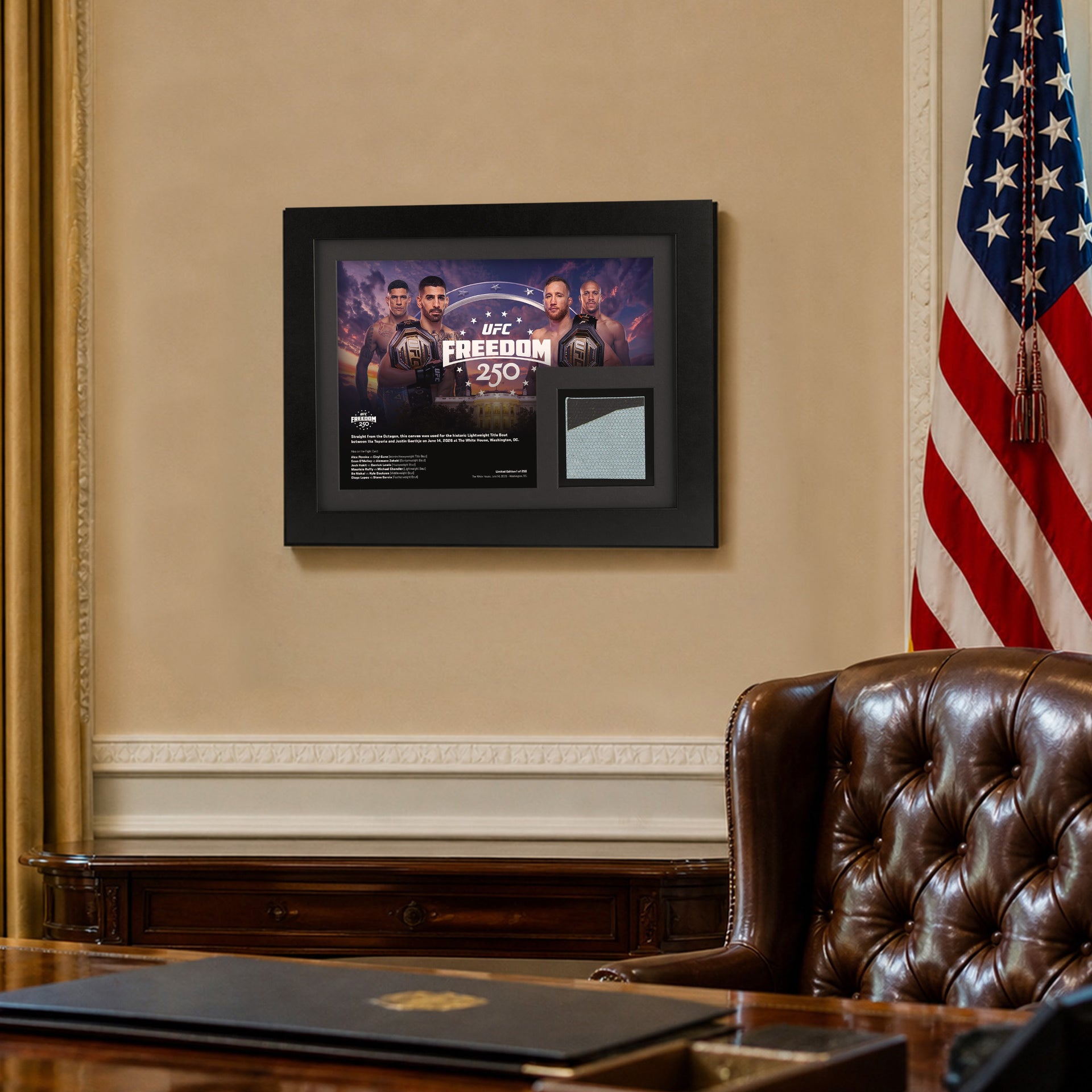 UFC Freedom 250 Canvas & Photo