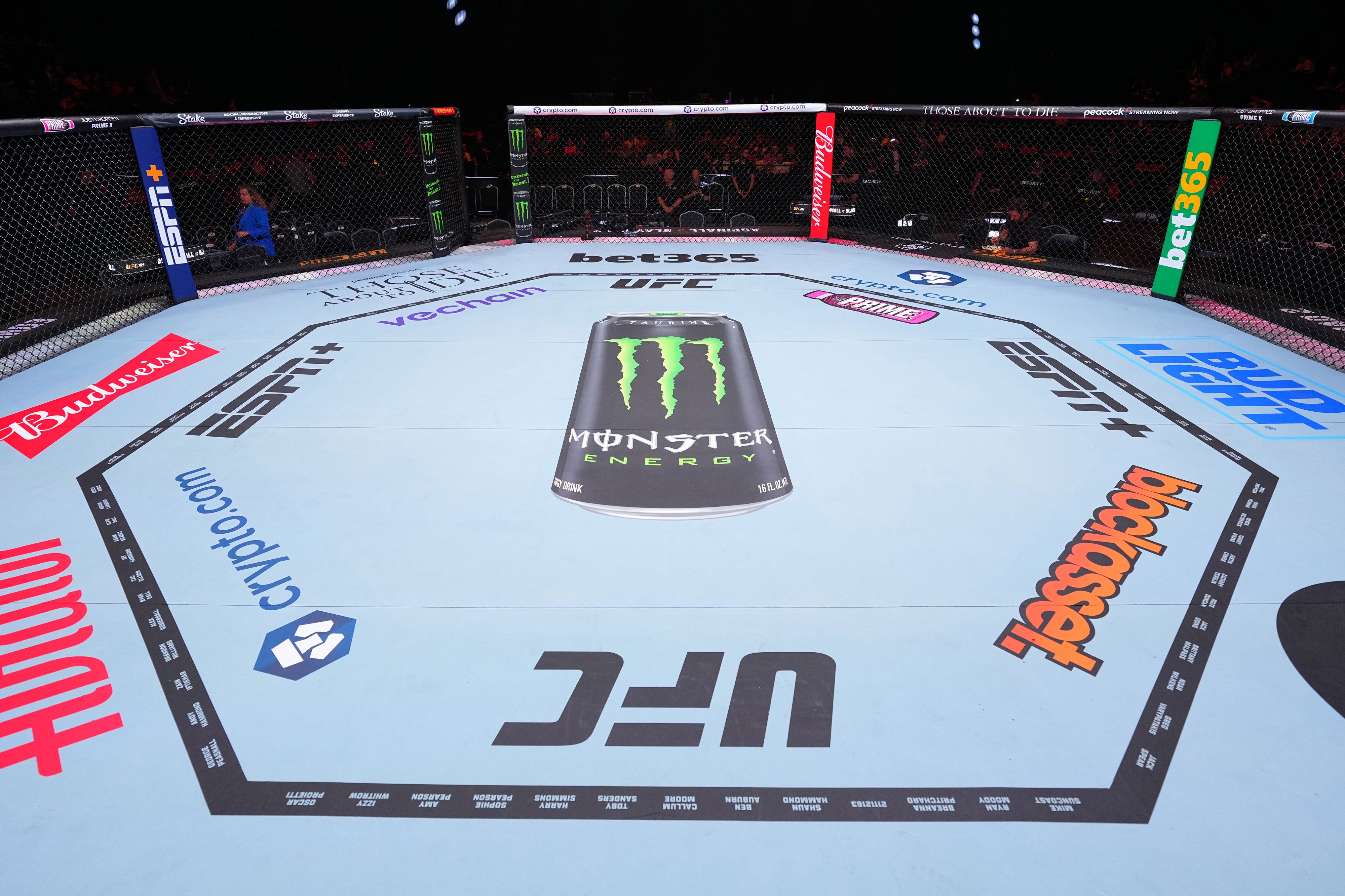 SOLD OUT: UFC 310: Pantoja vs Asakura Name on Canvas