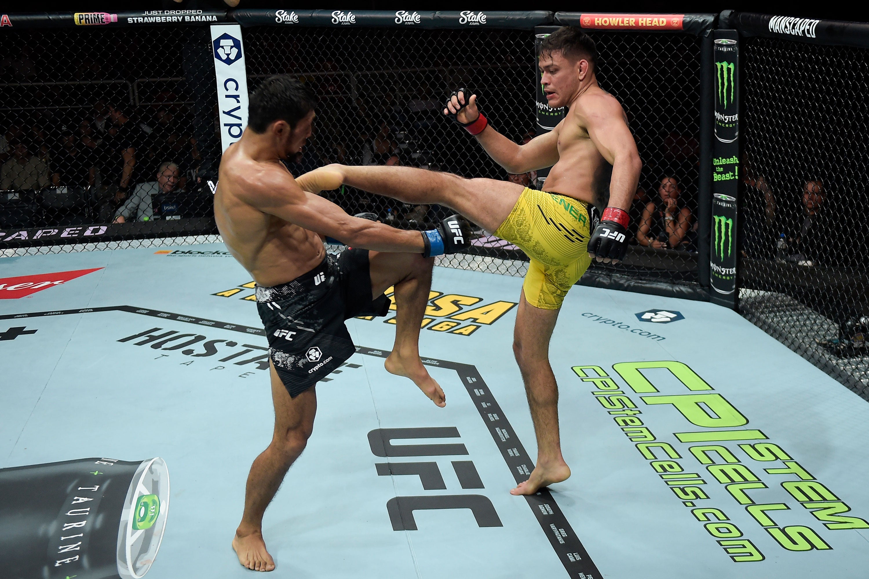 UFC 313: Pereira vs Ankalaev Name on Canvas