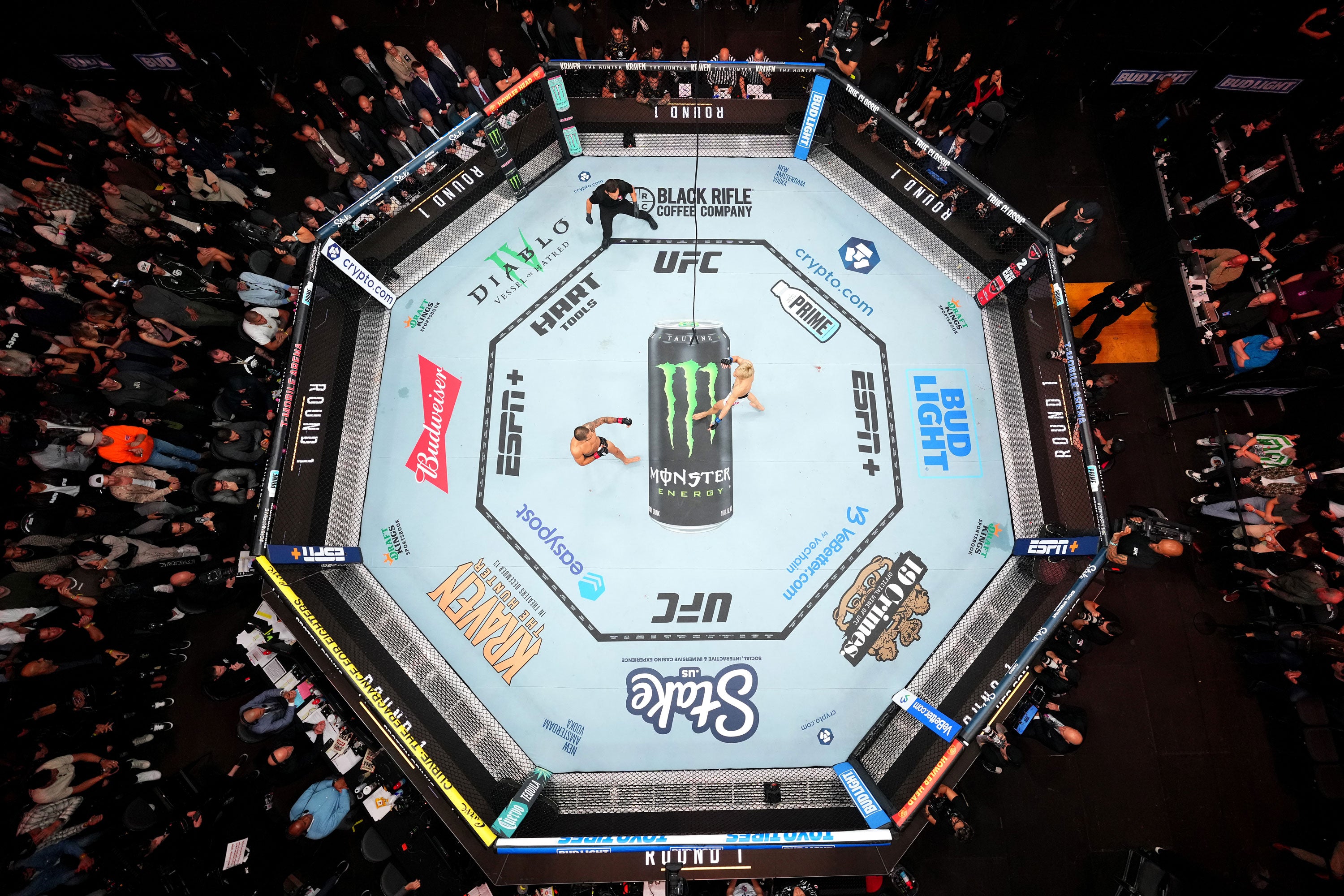 UFC 317: Topuria vs Oliveira Name on Canvas