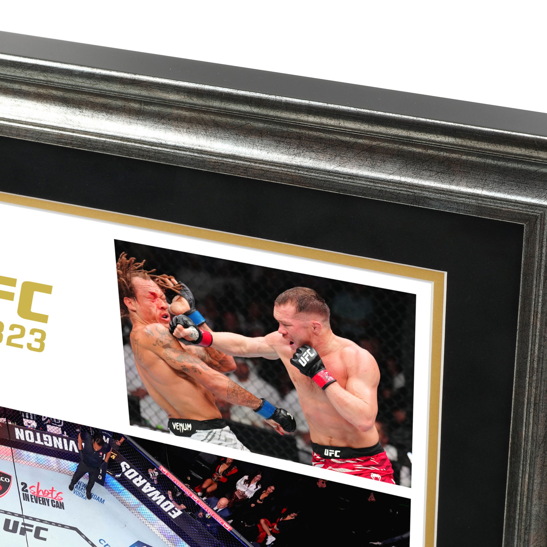 UFC 323: Dvalishvili vs Yan 2 Name on Canvas