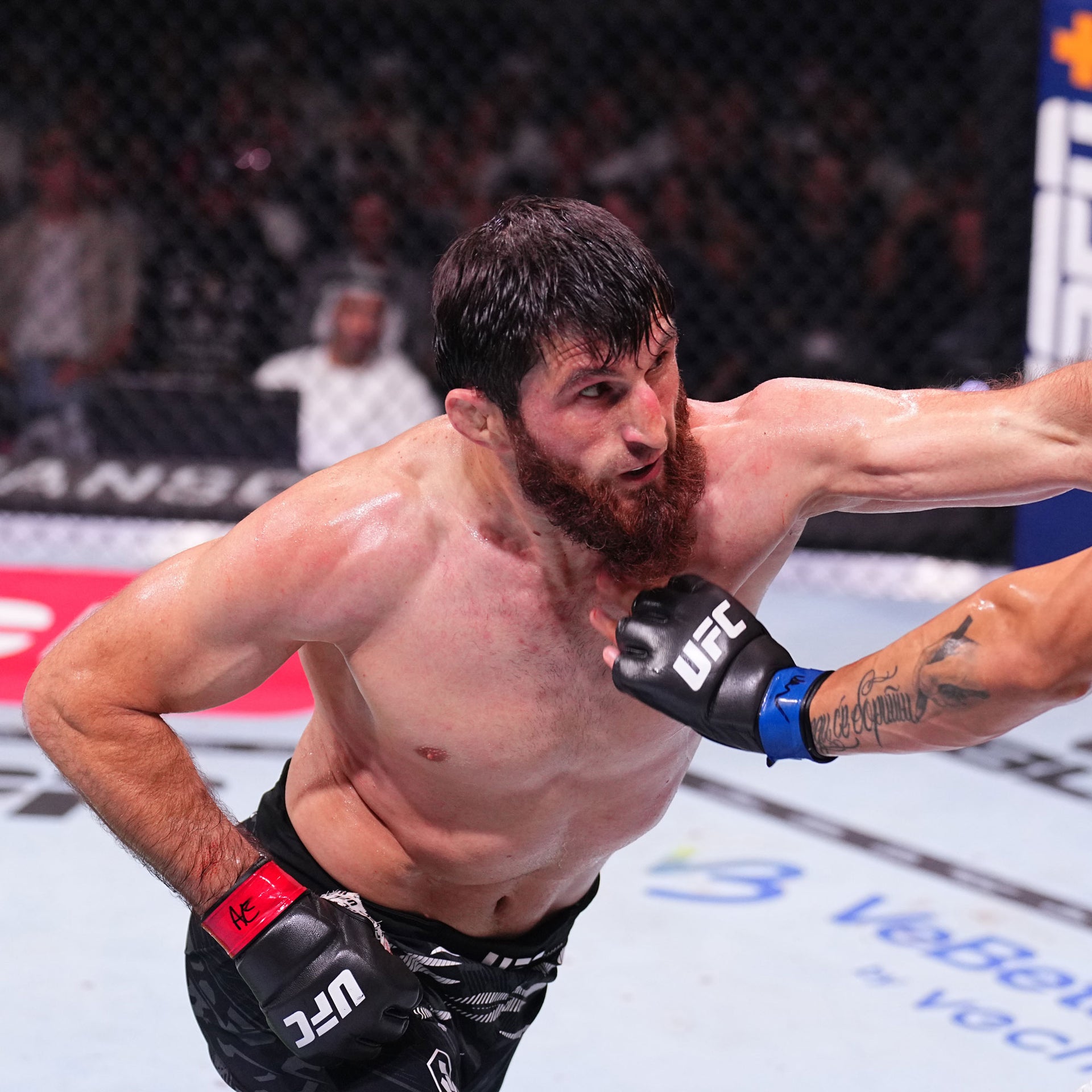 SOLD OUT: UFC 320: Ankalaev vs Pereira 2 Name on Canvas