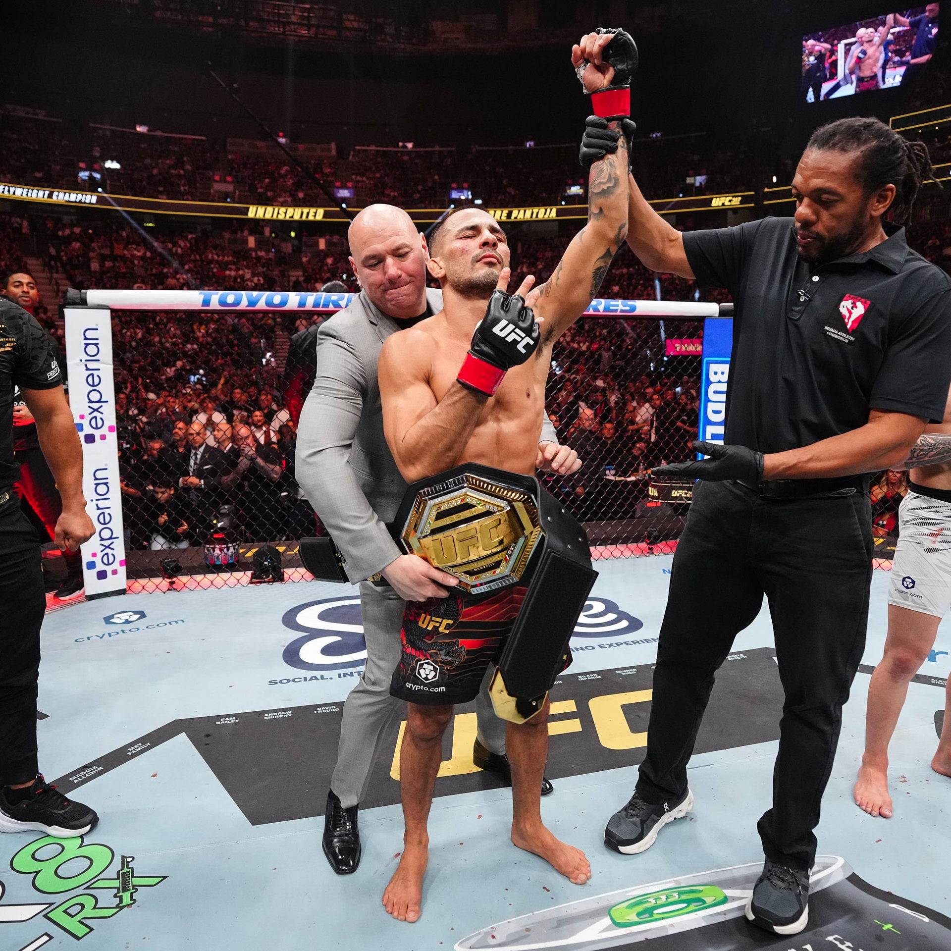 UFC 323: TBD vs TBD Name on Canvas