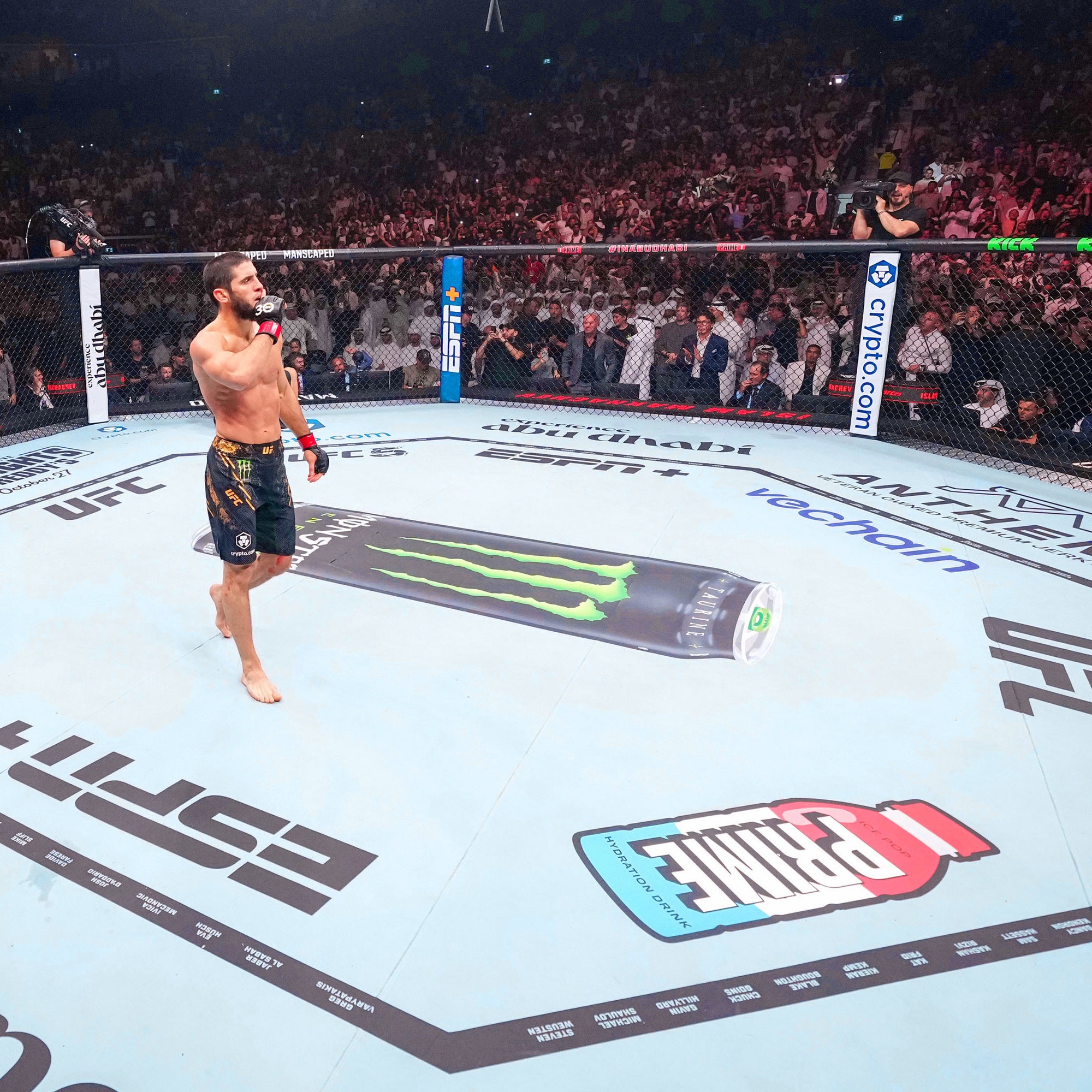 UFC 321: Aspinall vs Gane Name on Canvas
