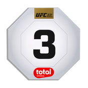UFC 331: Van vs Pantoja 2 Event Used Round Card Three