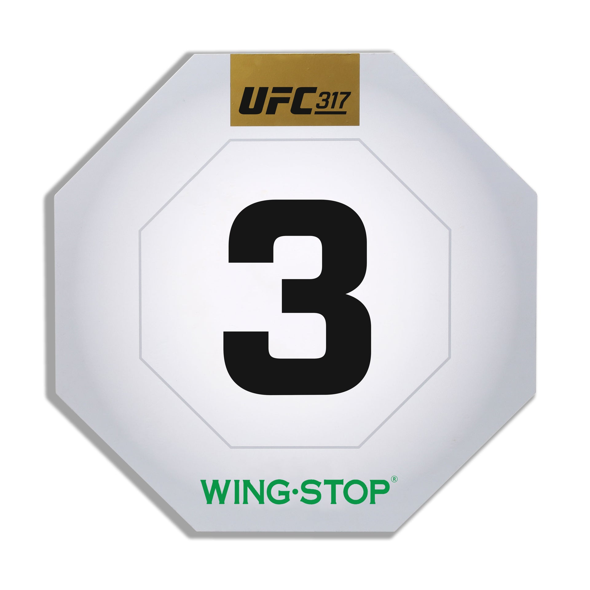 UFC 317: Topuria vs Oliveira Event Used Round Card Three