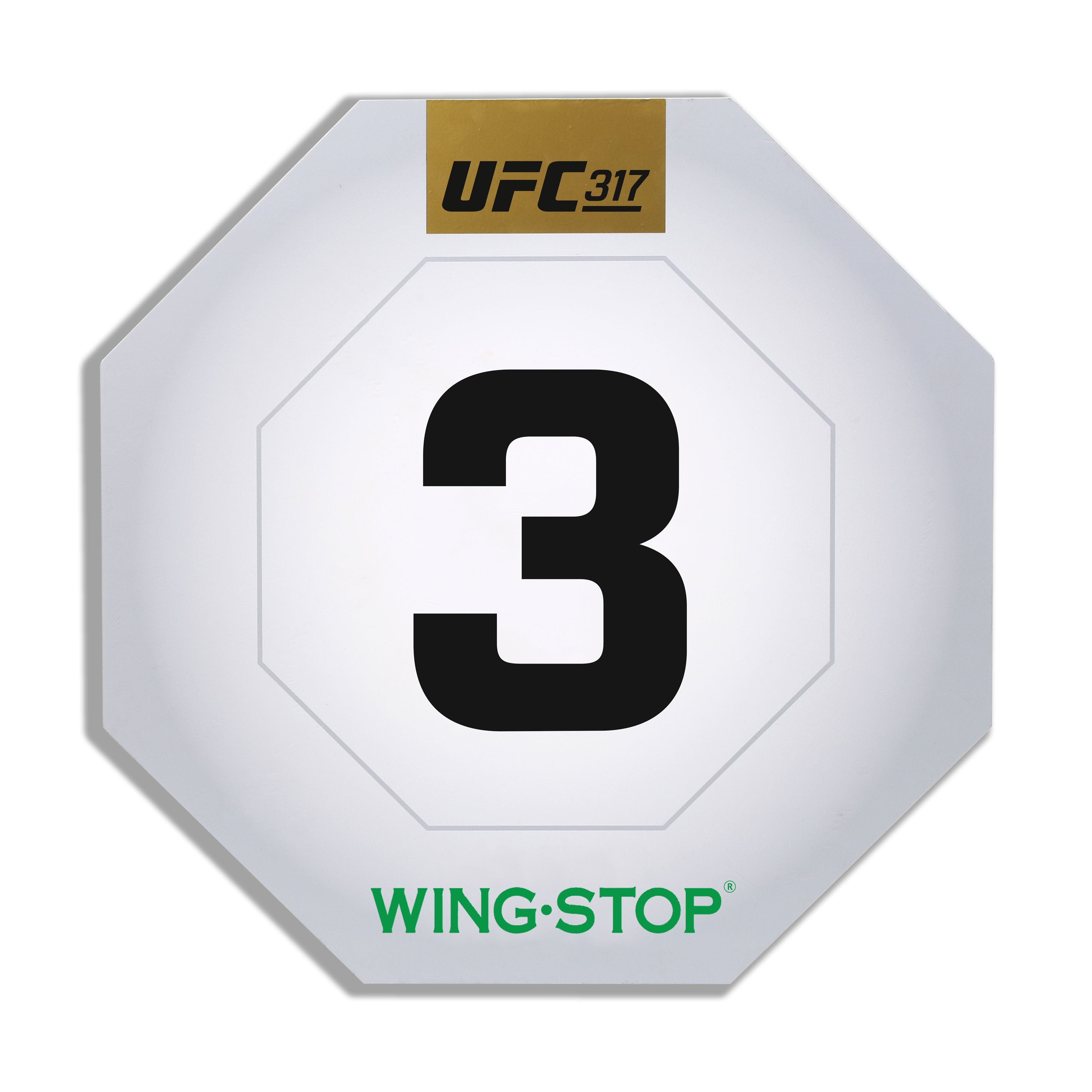 UFC 317: Topuria vs Oliveira Event Used Round Three Card
