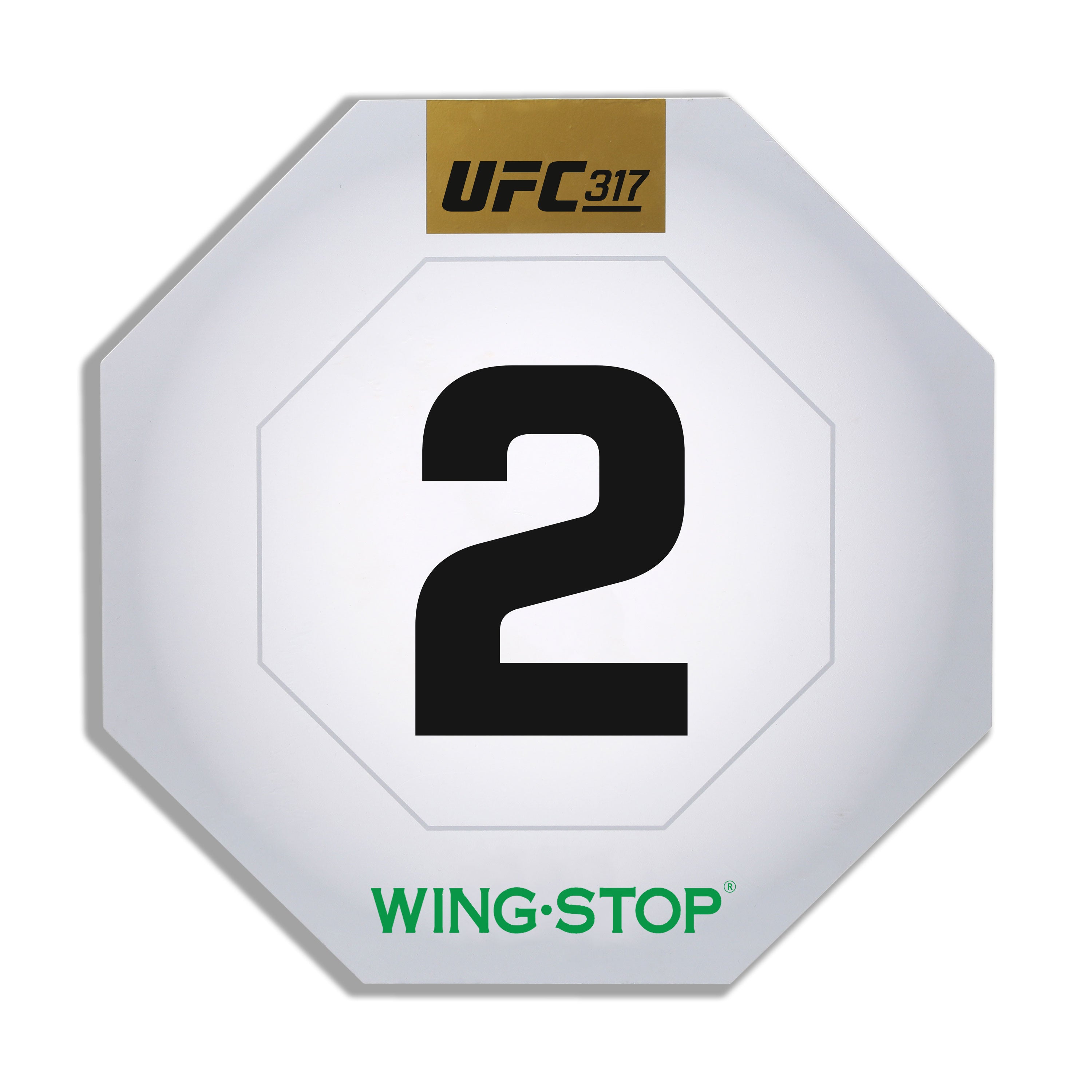 UFC 317: Topuria vs Oliveira Event Used Round Two Card