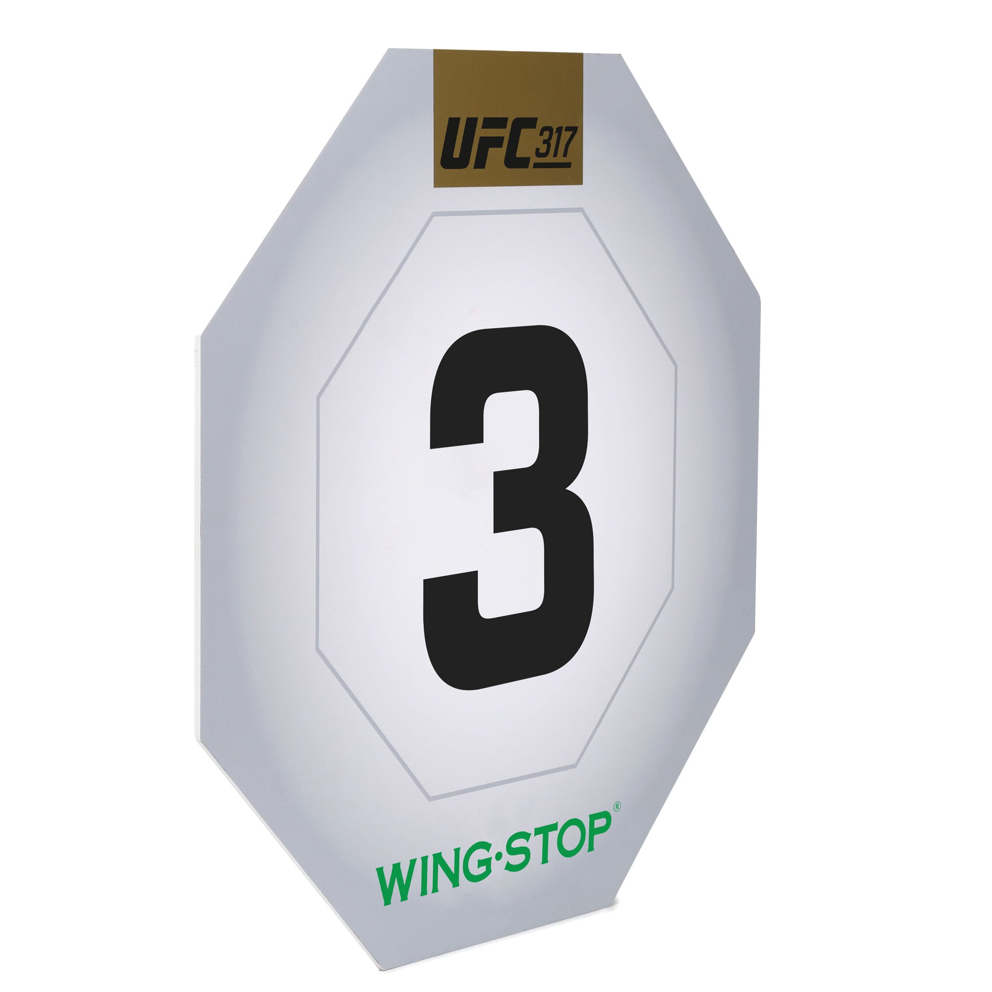 UFC 317: Topuria vs Oliveira Event Used Round Three Card