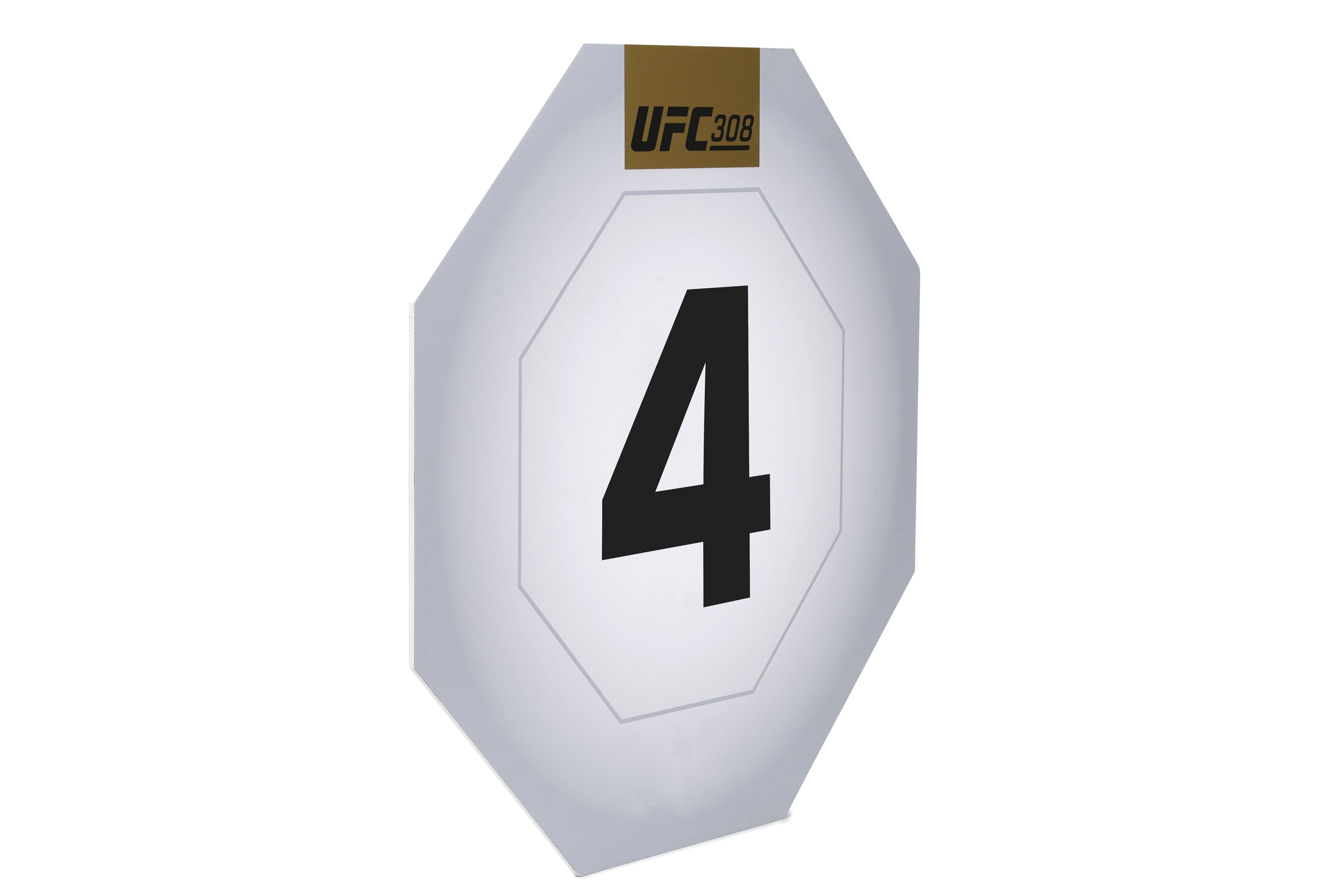 UFC 308: Topuria vs Holloway Event Used Round Four Card