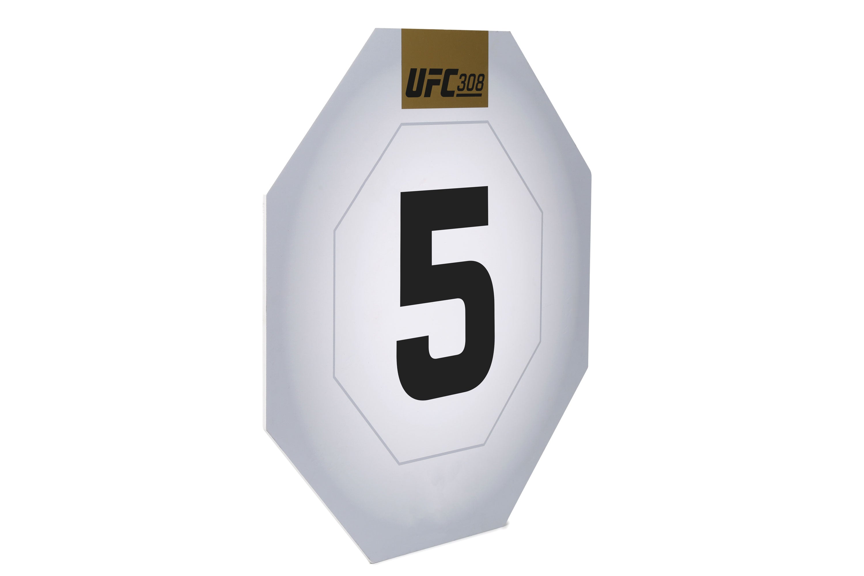 UFC 308: Topuria vs Holloway Event Used Round Five Card