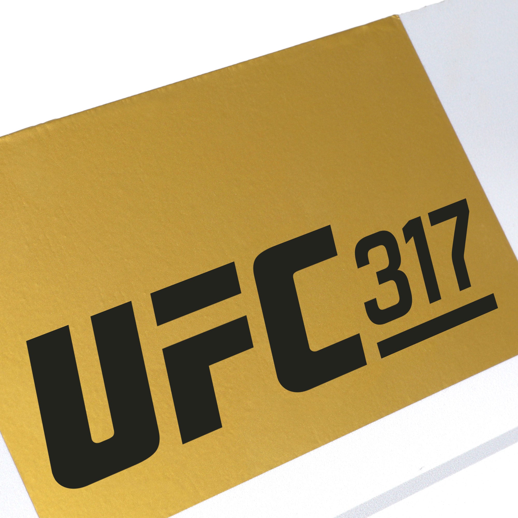 UFC 317: Topuria vs Oliveira Event Used Round Two Card