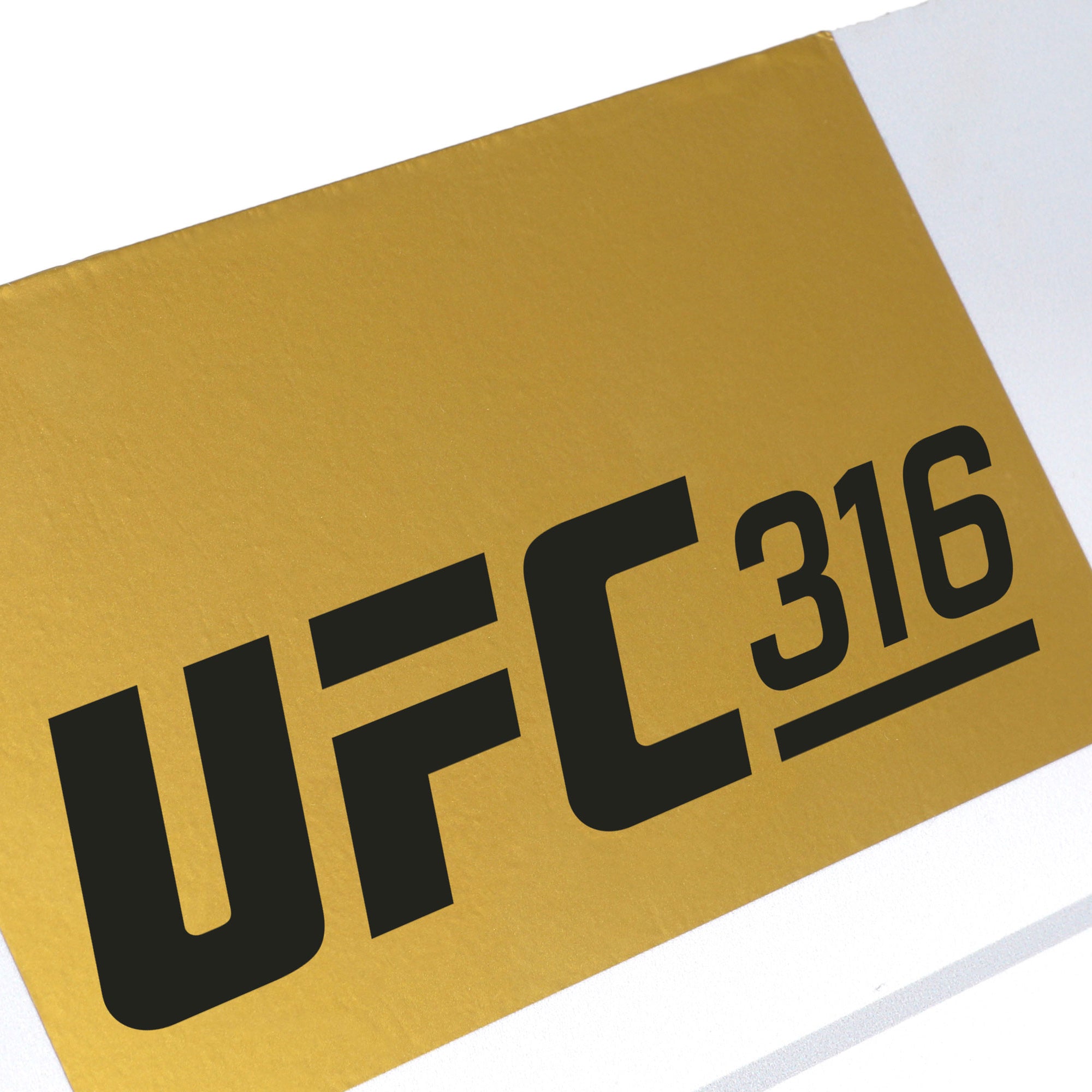 UFC 316: Dvalishvili vs O’Malley 2 Event Used Round One Card