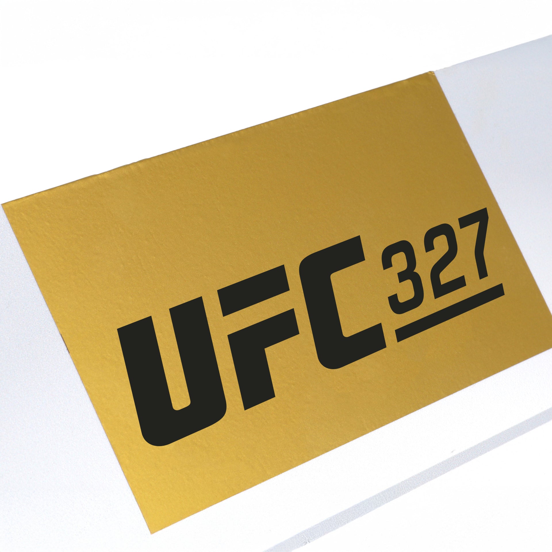 UFC 327: Procházka vs Ulberg Event Used Round Card Two