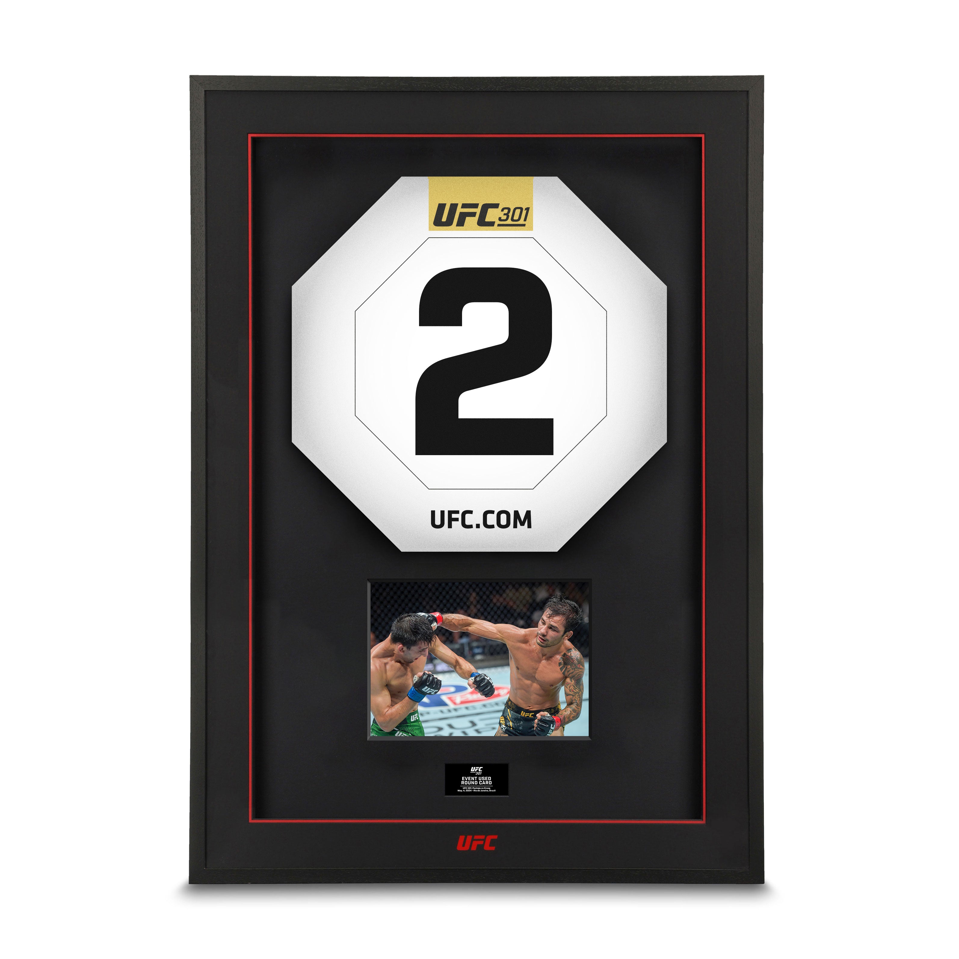 UFC 301: Pantoja vs Erceg Event Used Round Two Card