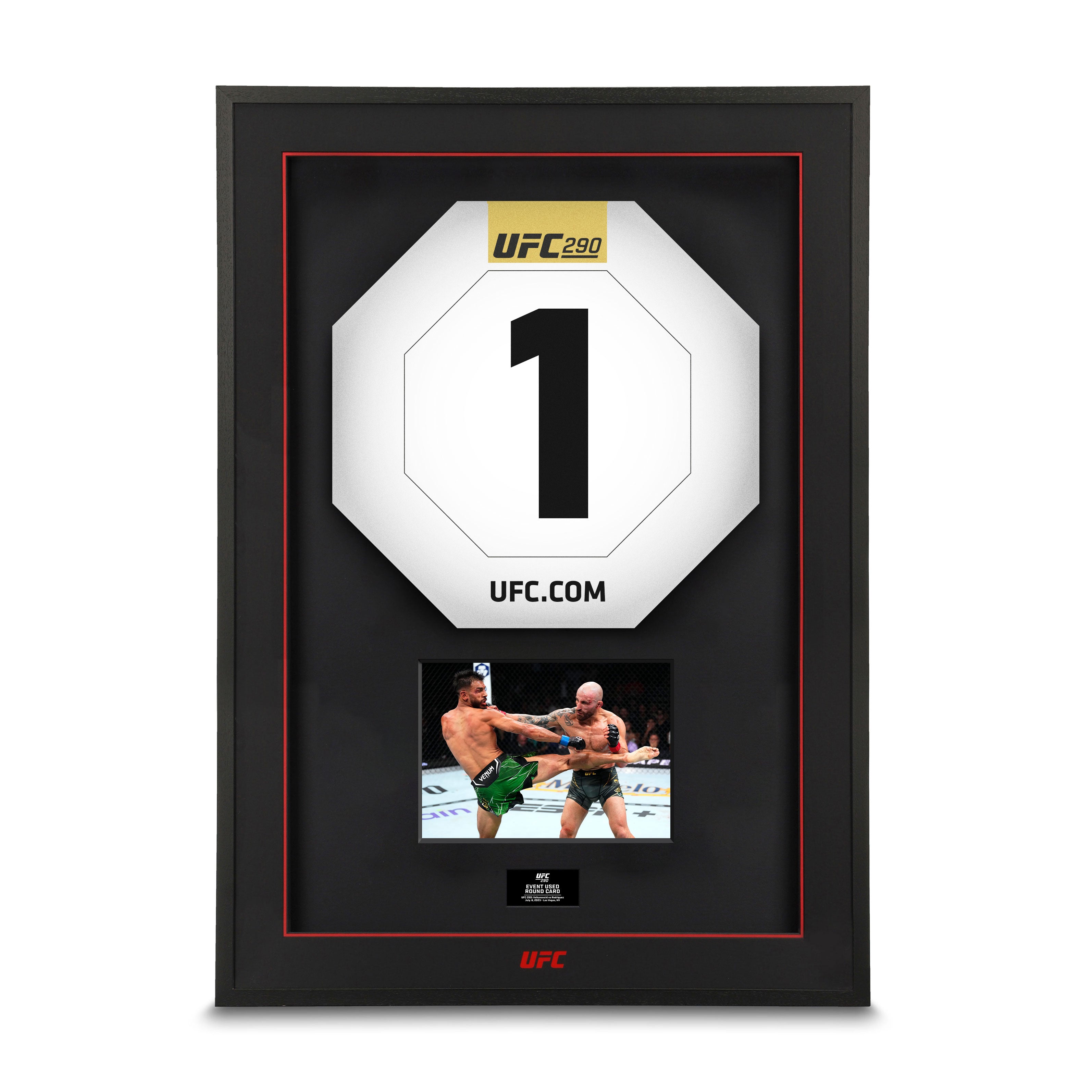 UFC 290: Volkanovski vs Rodríguez Round Card 1