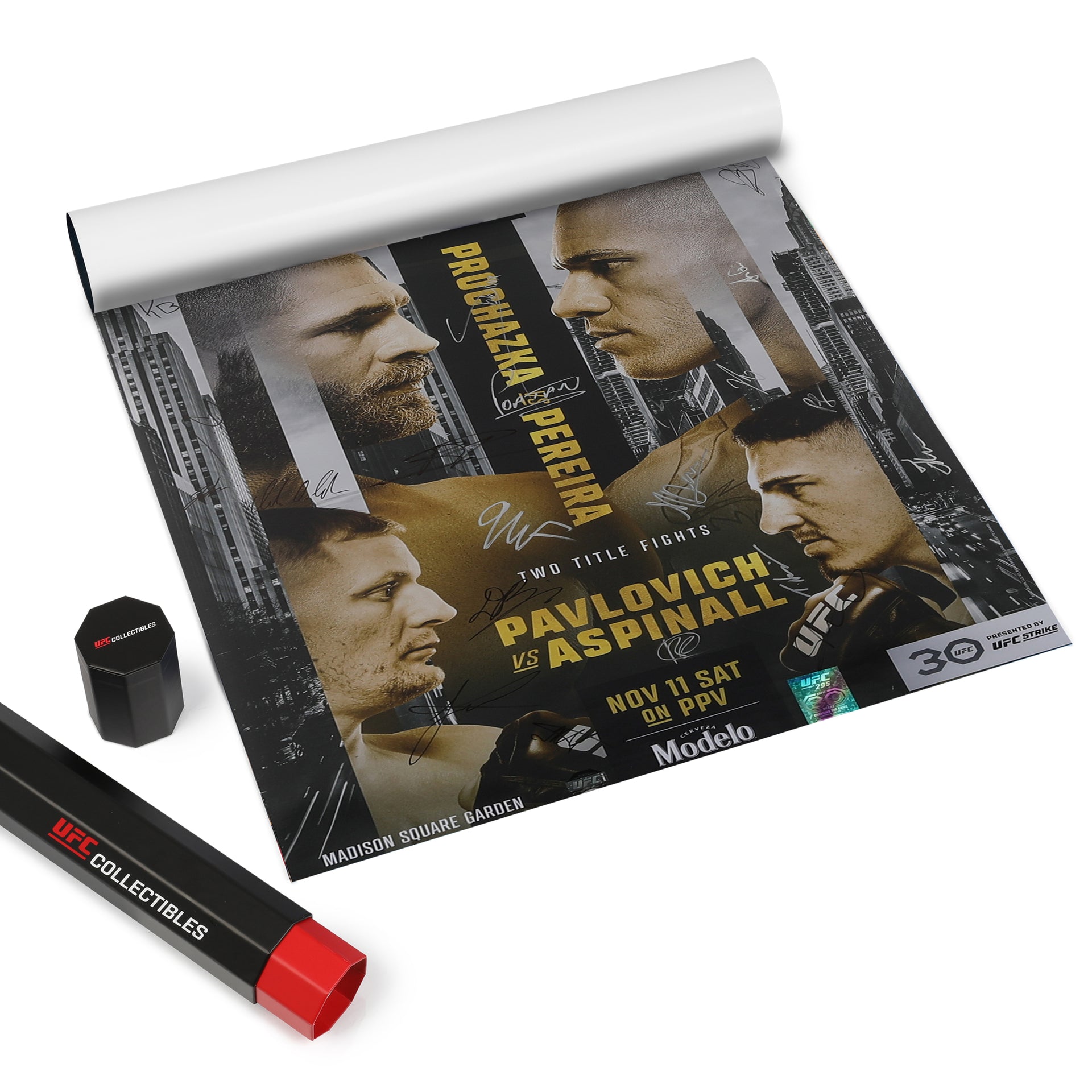 UFC 295: Procházka vs Pereira Autographed Event Poster