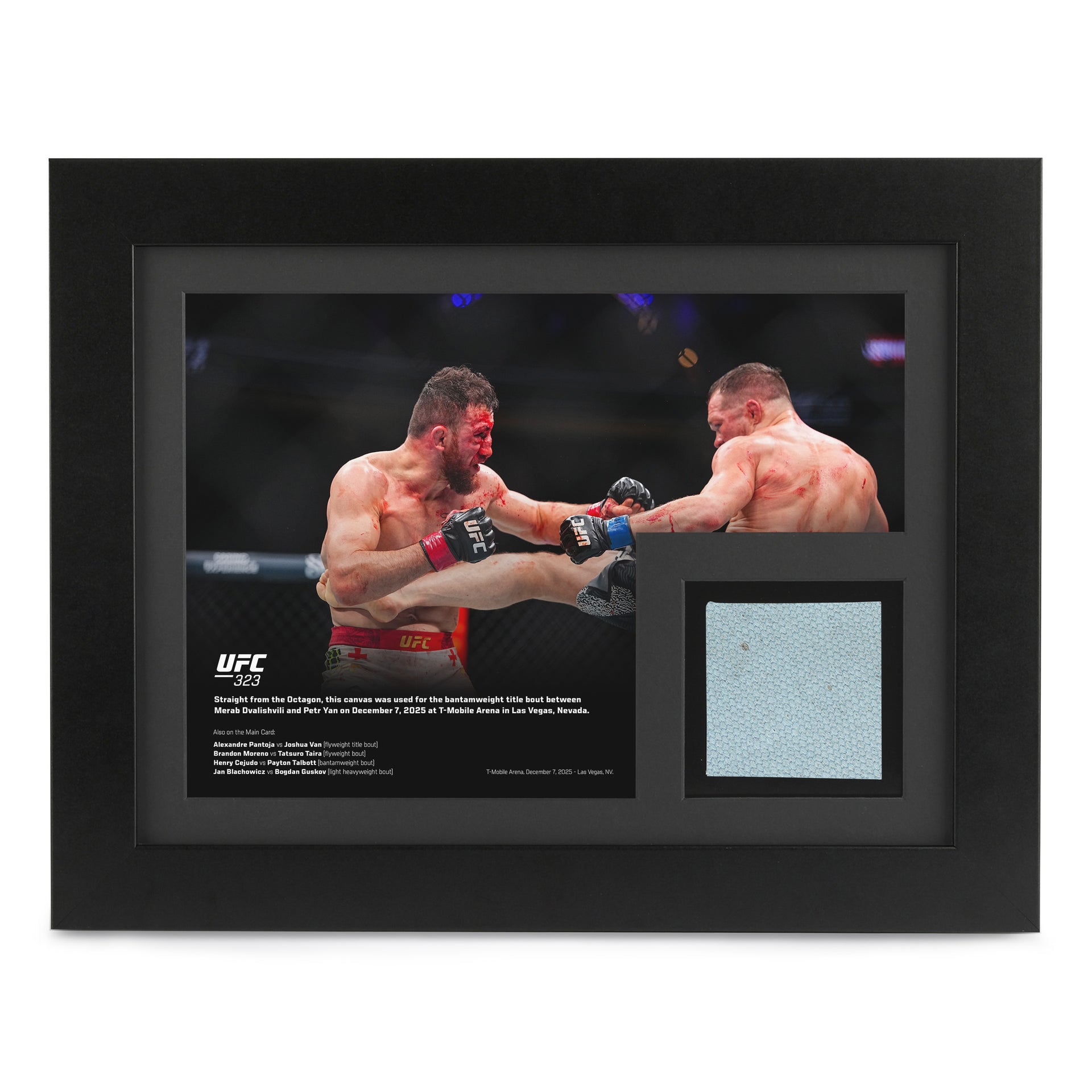 UFC 323: Dvalishvili vs Yan 2 Canvas & Photo