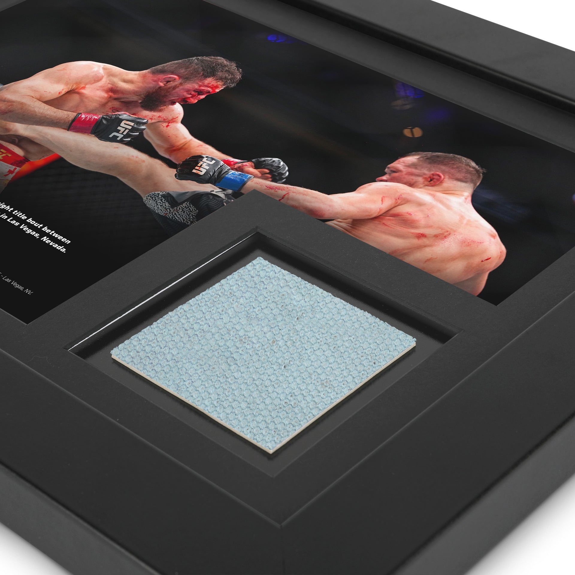 UFC 323: Dvalishvili vs Yan 2 Canvas & Photo