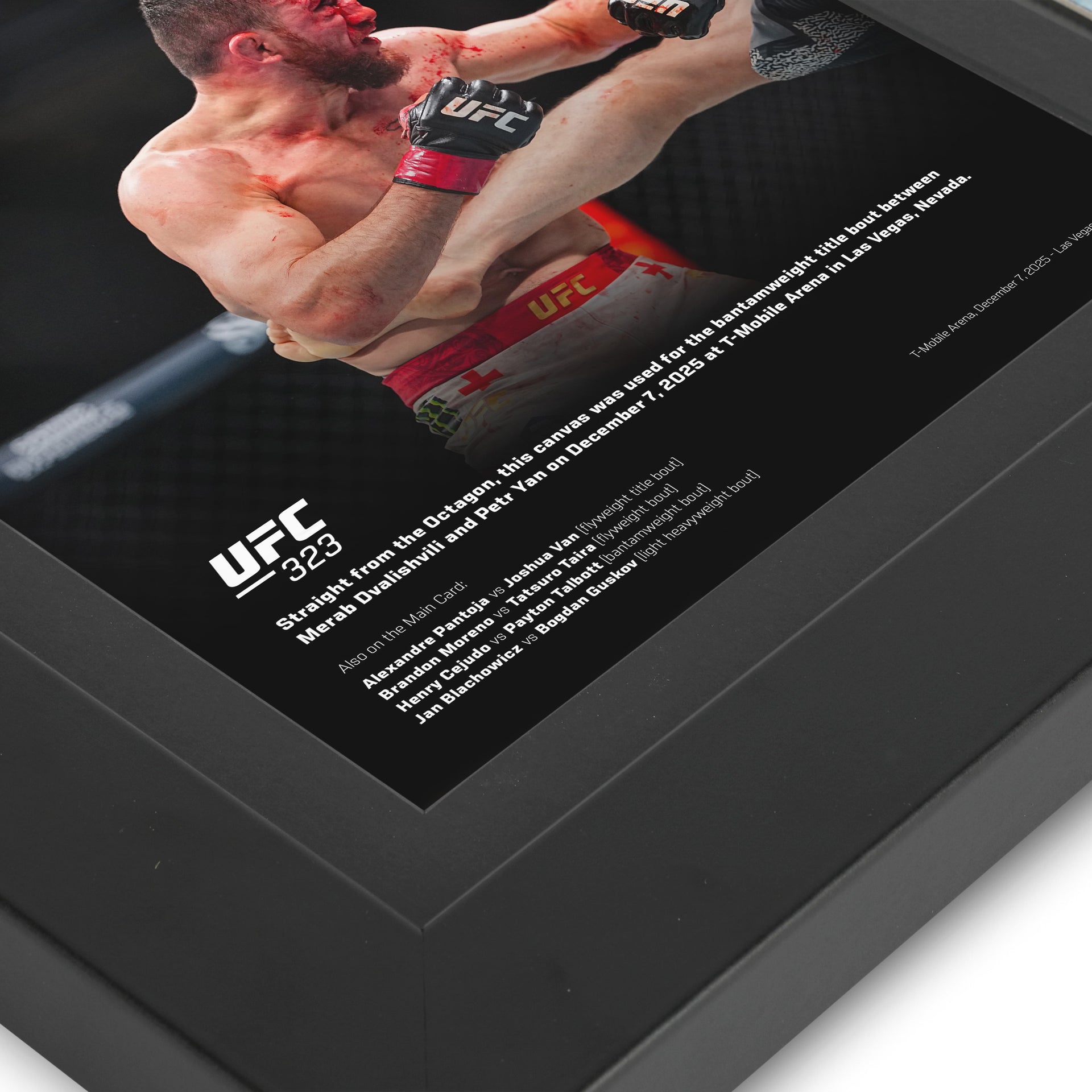 UFC 323: Dvalishvili vs Yan 2 Canvas & Photo