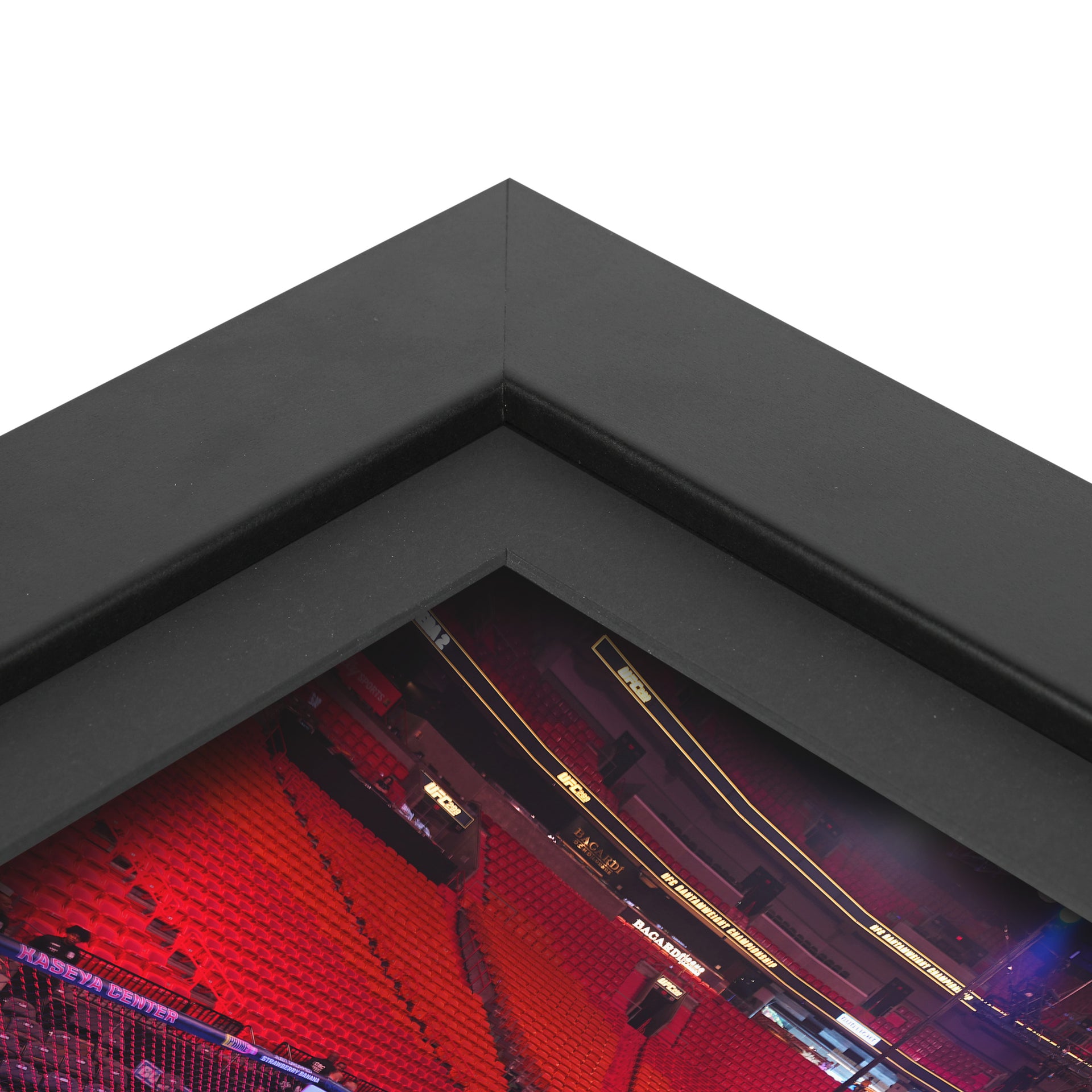 UFC 325: Volkanovski vs Lopes 2 Canvas & Photo