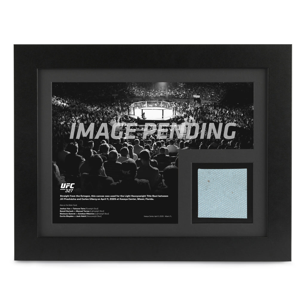 UFC 327: Procházka vs Ulberg Canvas & Photo