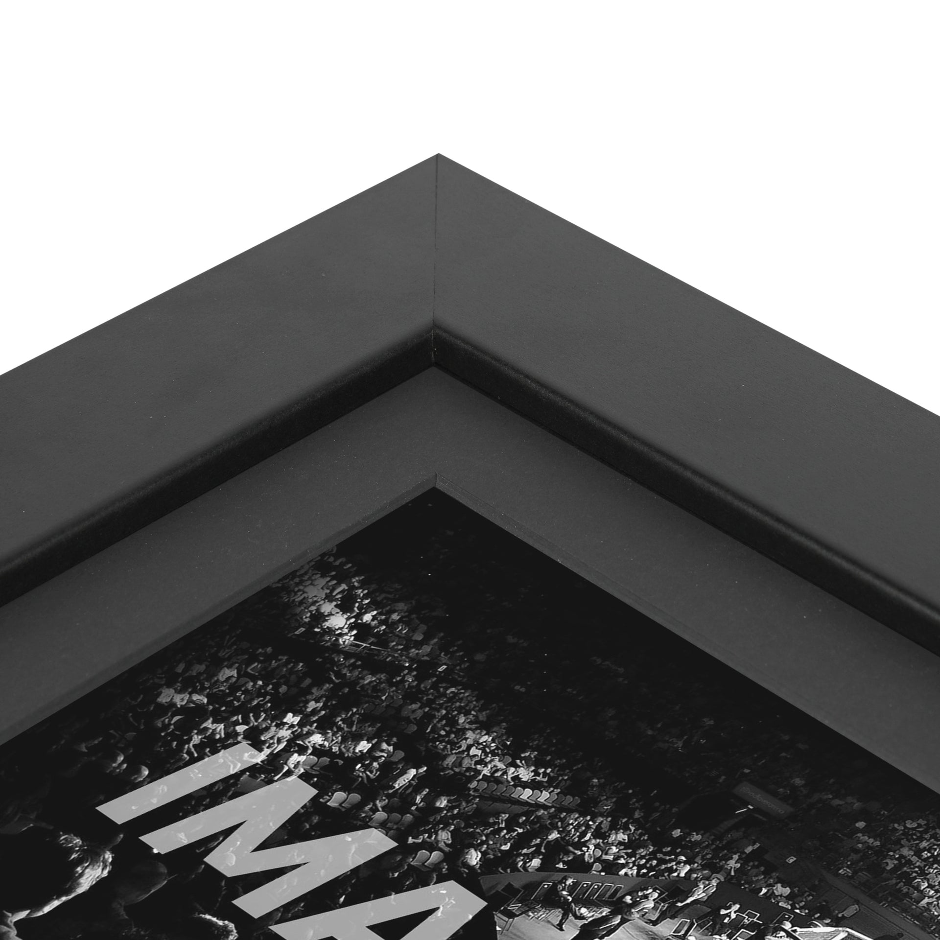 UFC 327: Procházka vs Ulberg Canvas & Photo