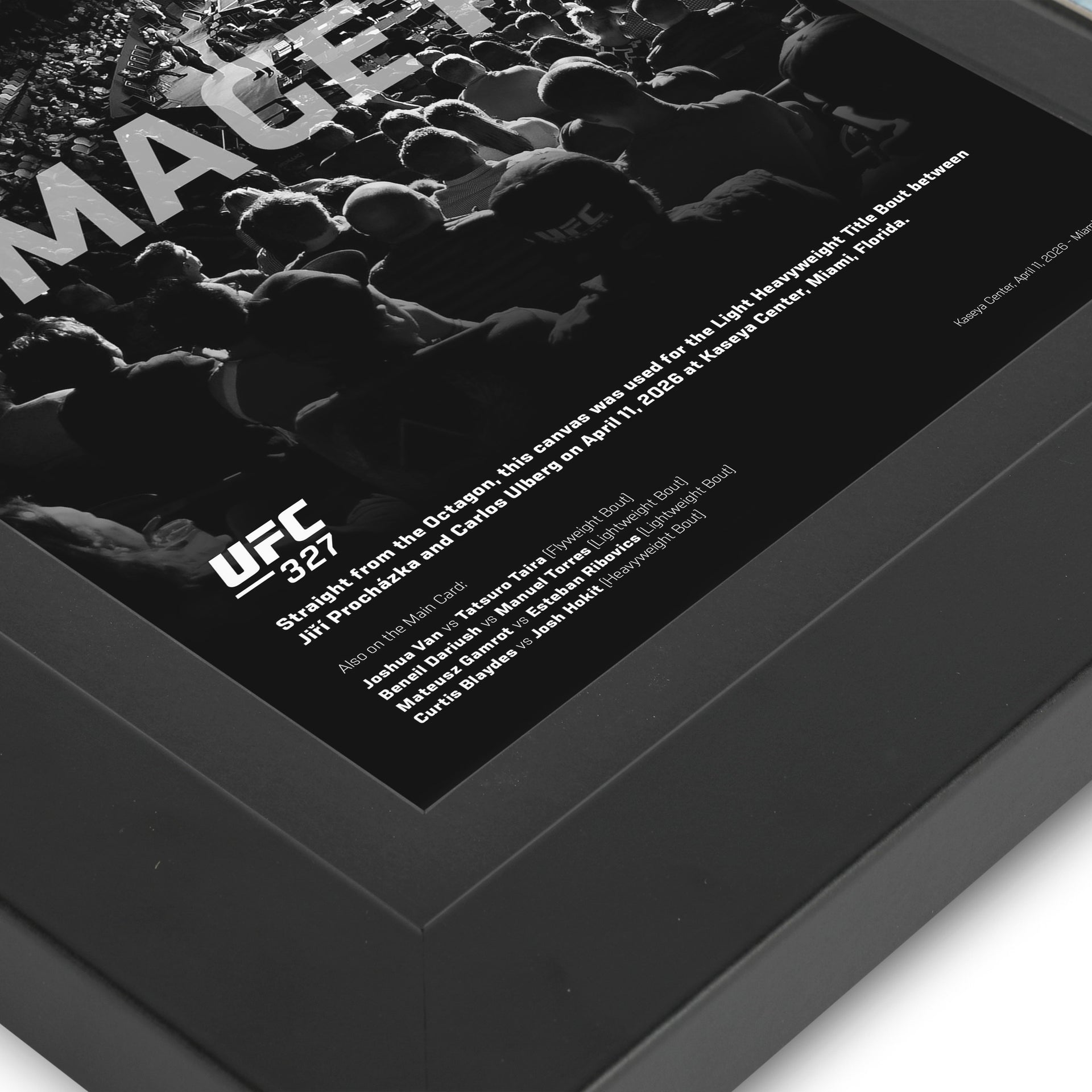 UFC 327: Procházka vs Ulberg Canvas & Photo