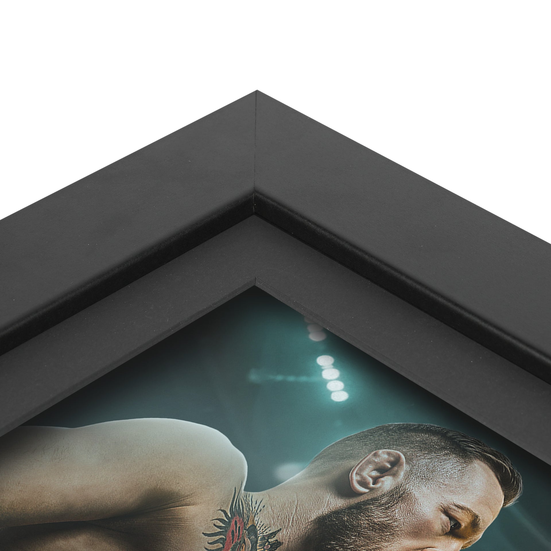 UFC 329: McGregor vs Holloway 2 Canvas & Photo