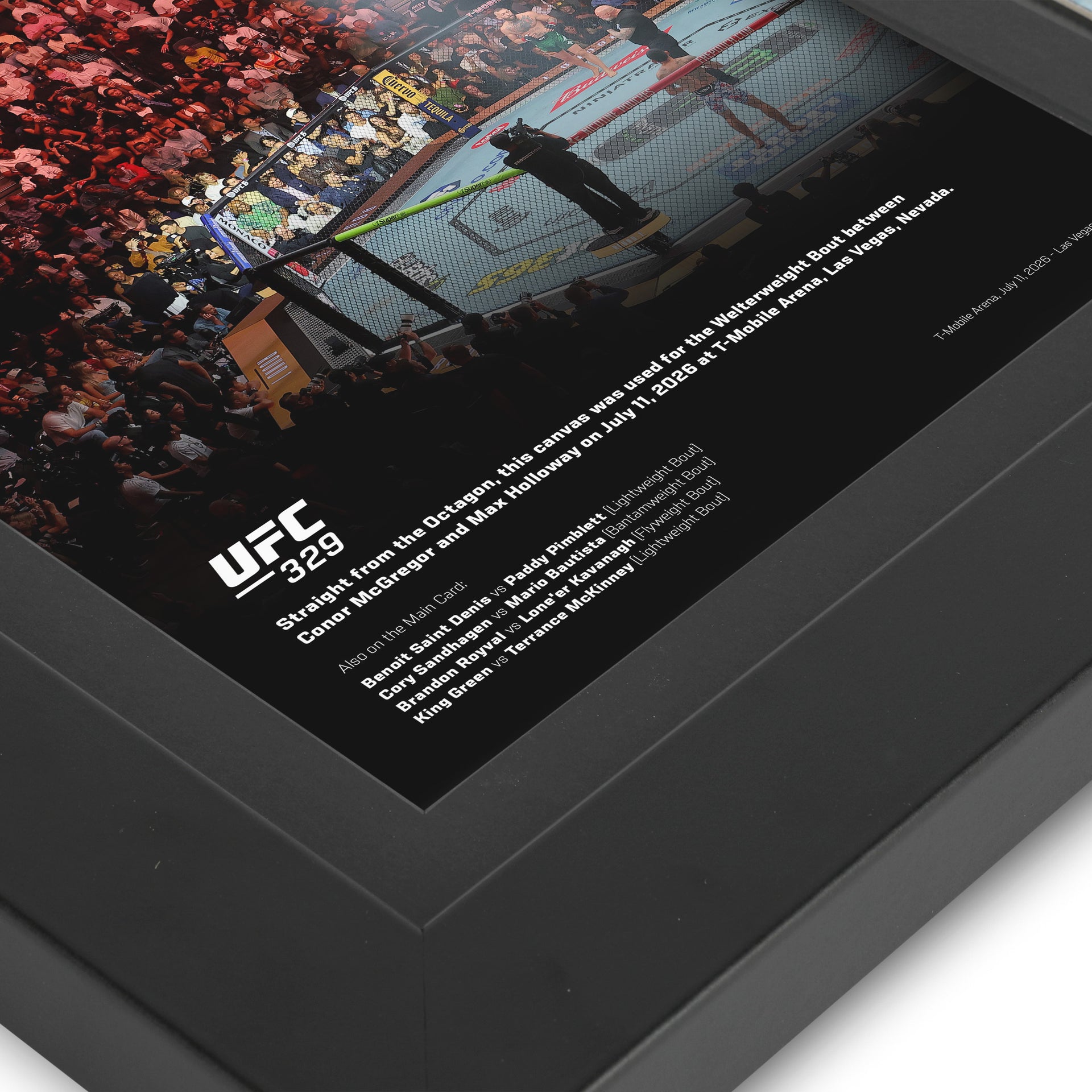 UFC 329: McGregor vs Holloway 2 Canvas & Photo